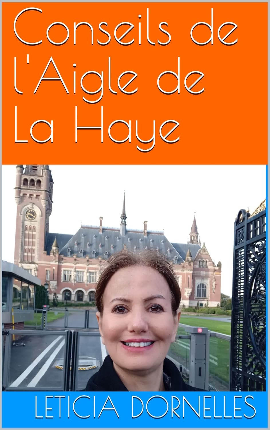 Conseils de l'Aigle de La Haye (French Edition) baixar livro de graça