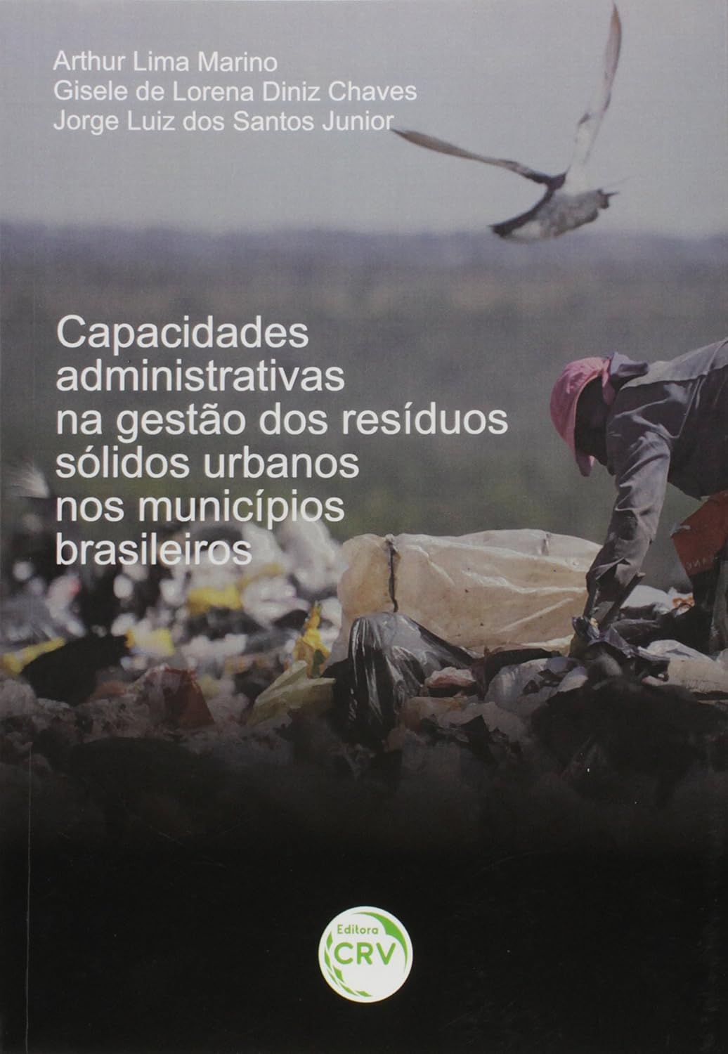 ler totalmente Capacidades Administrativas Na Gestao dos Resíduos Sólidos Urbanos nos Municípios Brasileiros