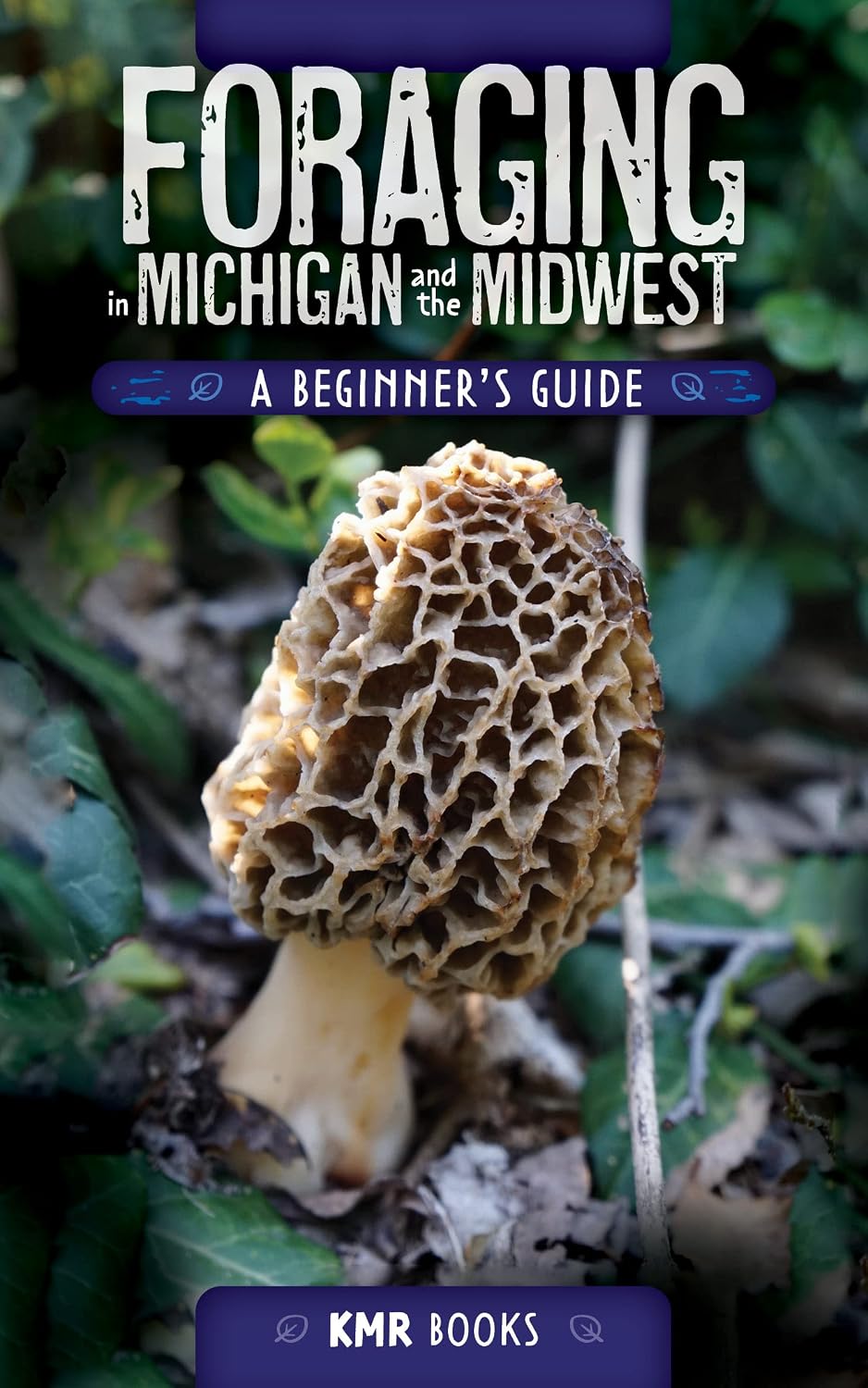 ler totalmente Foraging in Michigan and the Midwest: A Beginner's Guide (English Edition)