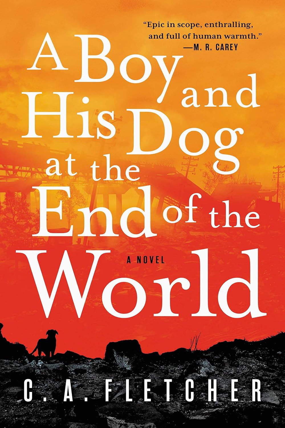 A Boy and His Dog at the End of the World: A Novel baixar o livro de graça