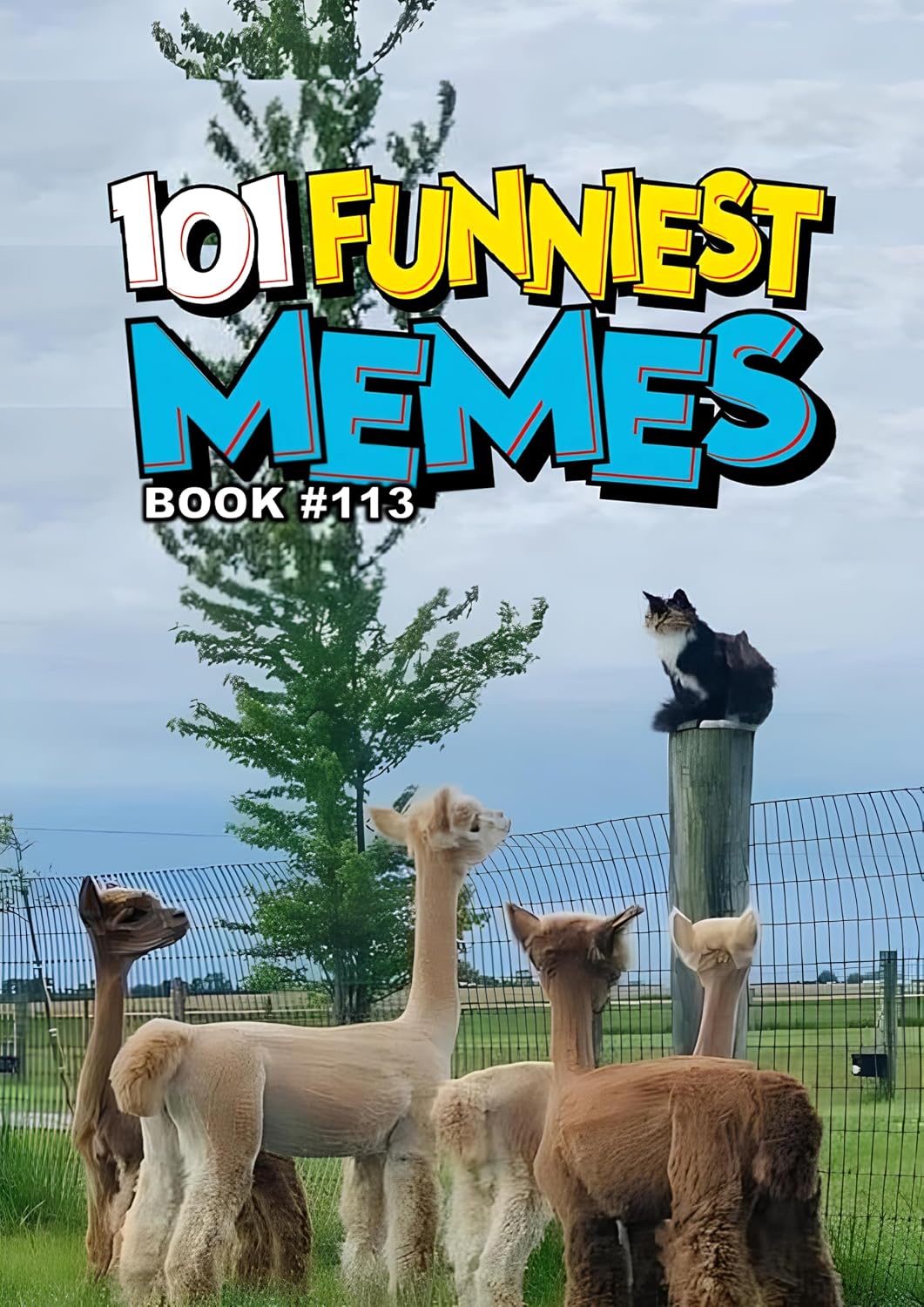ler totalmente 101 FUNNIEST MEMES: BOOK 113 (English Edition)