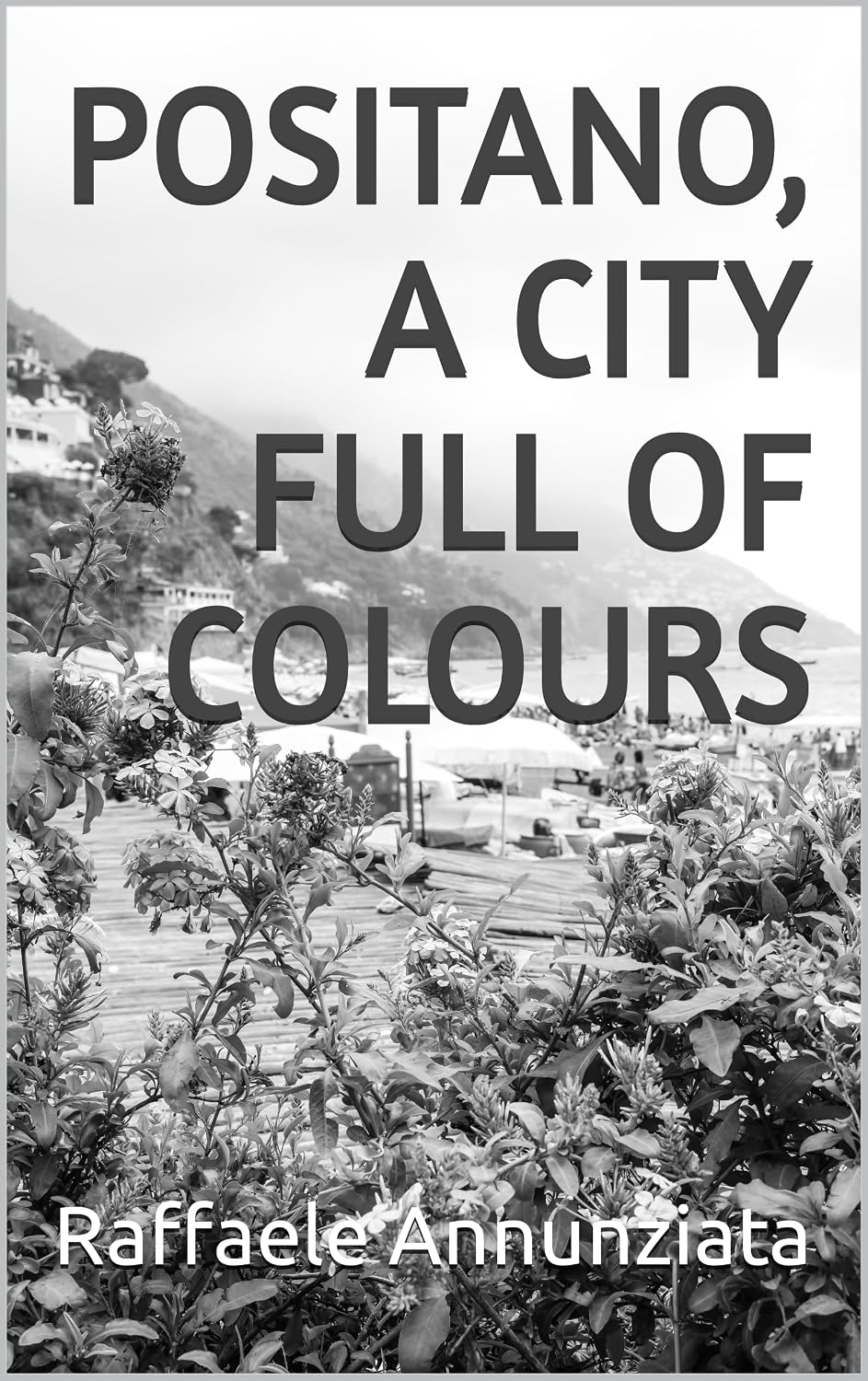 ler totalmente Positano, a city full of colours (English Edition)