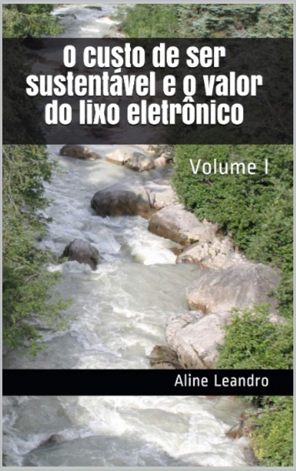 O custo de ser sustentável e o valor do lixo eletrônico: Volume 1 baixar livro de graça