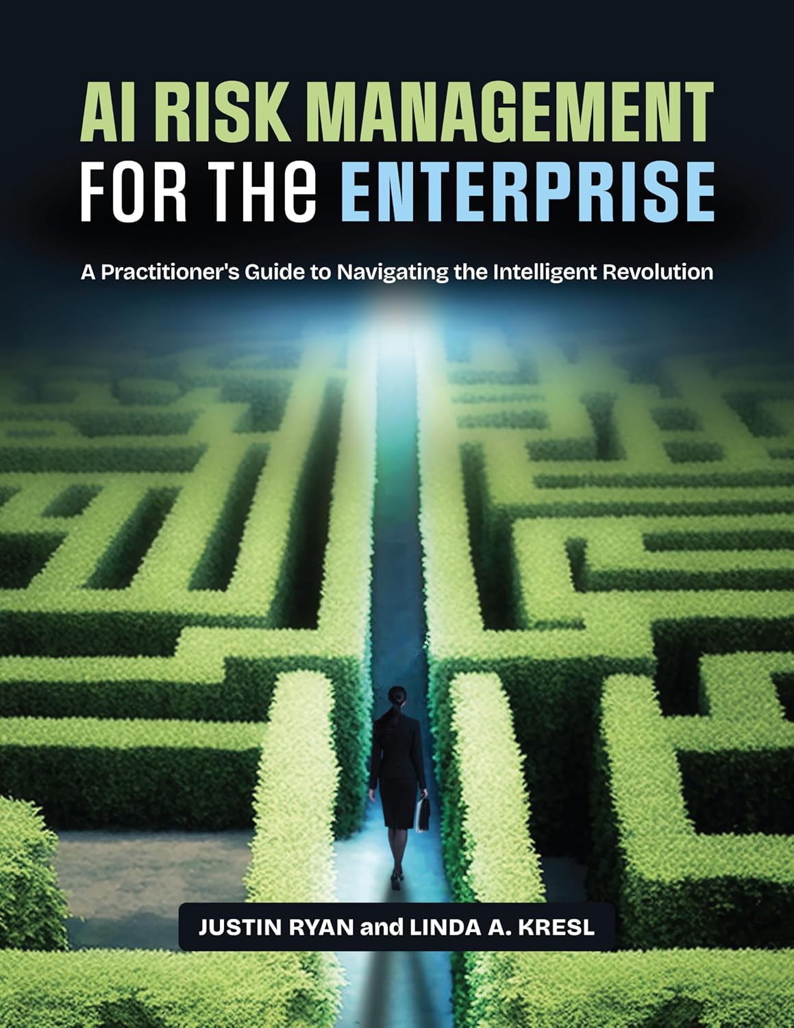 capítulo por capítulo baixar AI Risk Management for the Enterprise: A Practitioner's Guide to Navigating the Intelligent Revolution (English Edition)