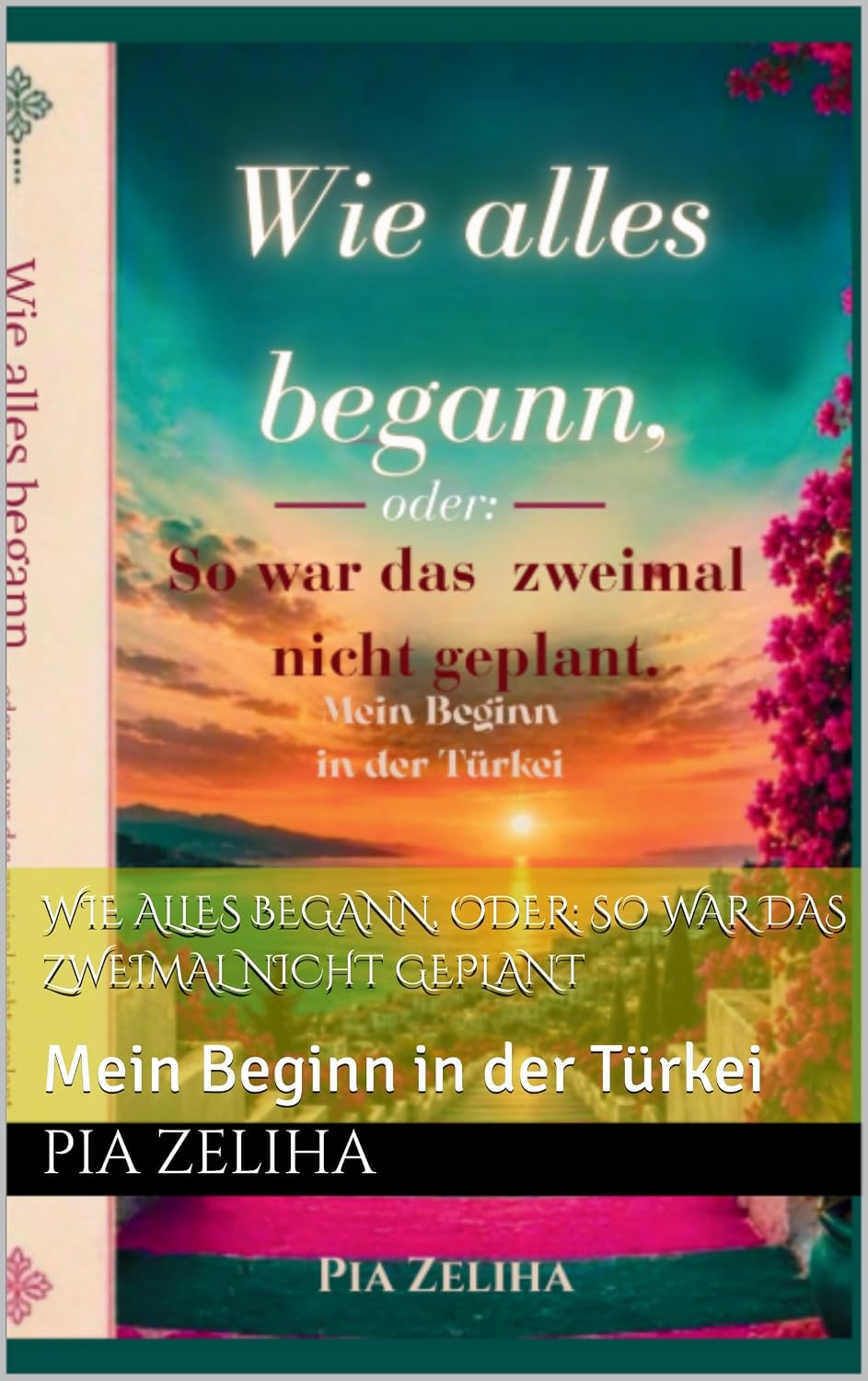 capítulo por capítulo baixar Wie alles begann, oder: So war das zweimal nicht geplant: Mein Beginn in der Türkei (German Edition)
