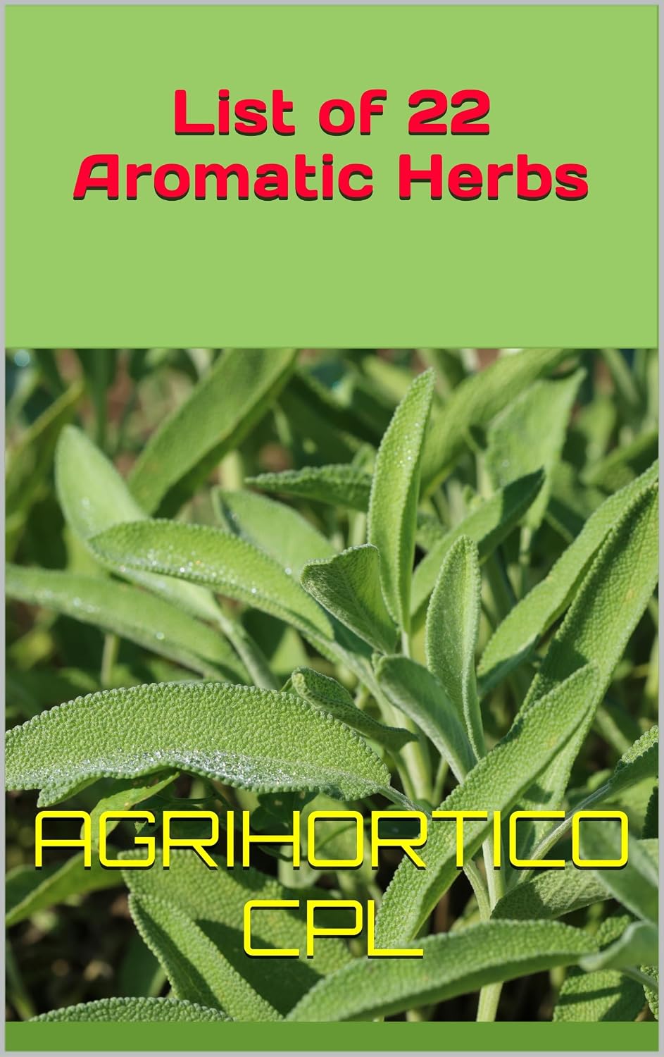 List of 22 Aromatic Herbs (Aromatic Herbs and Aromatherapy) (English Edition) baixar livro de graça