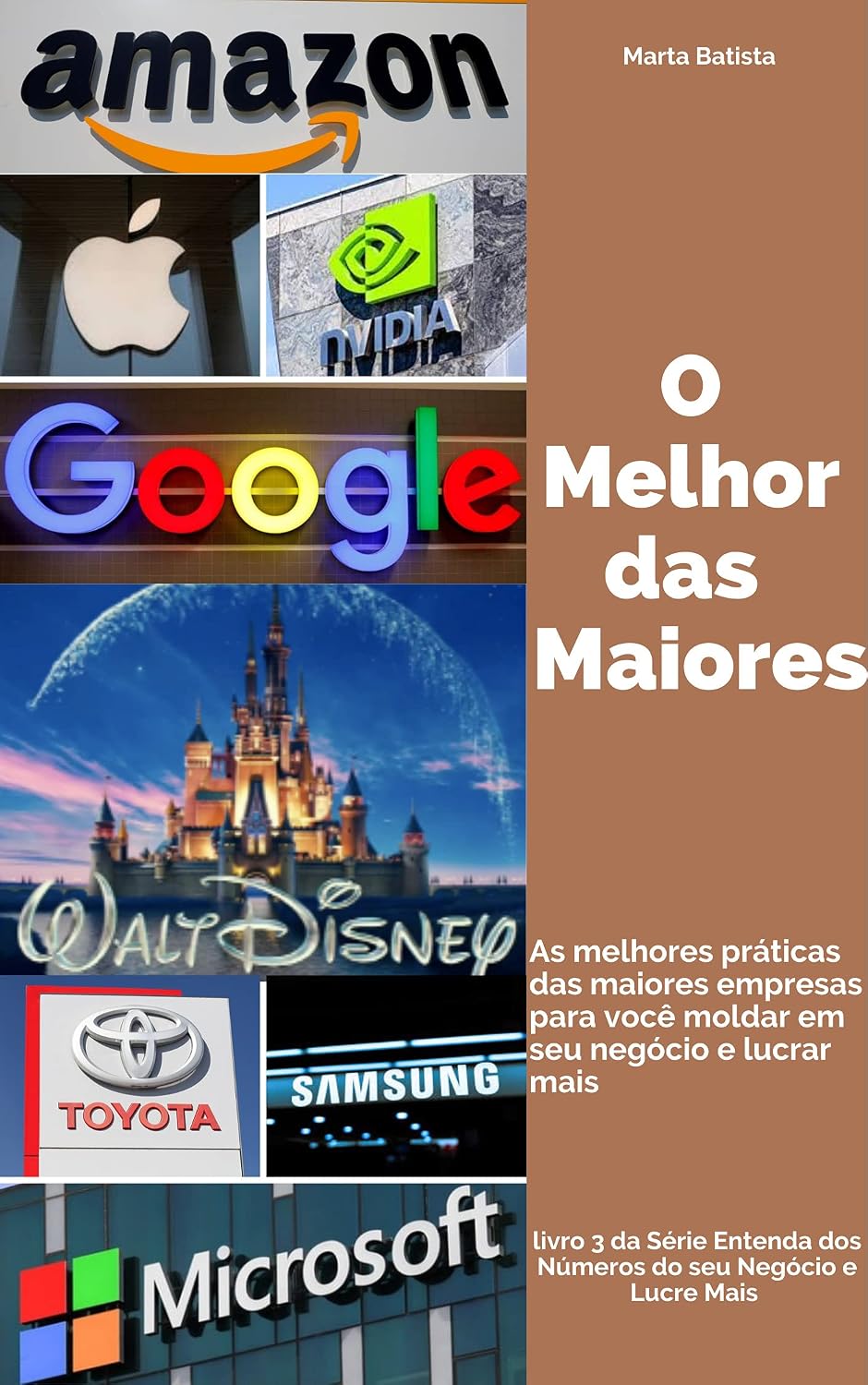 O MELHOR DAS MAIORES: AS MELHORES PRÁTICAS DAS MAIORES EMPRESAS PARA VOCÊ MOLDAR NO SEU NEGÓCIO E LUCRAR MAIS (ENTENDA OS NÚMEROS DO SEU NEGÓCIO E LUCRE MAIS) baixar o livro de graça