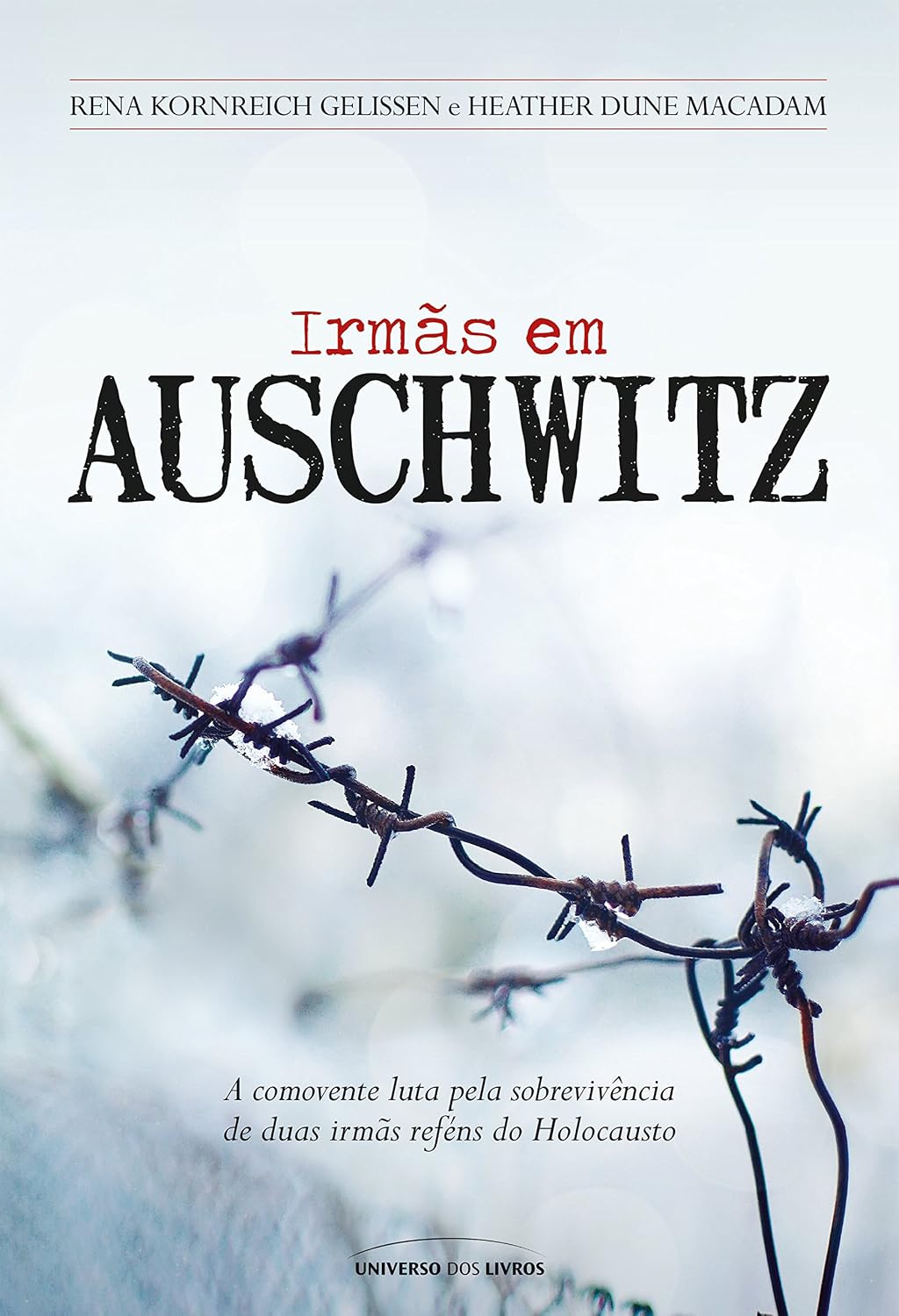 Irmãs em Auschwitz baixar livro de graça