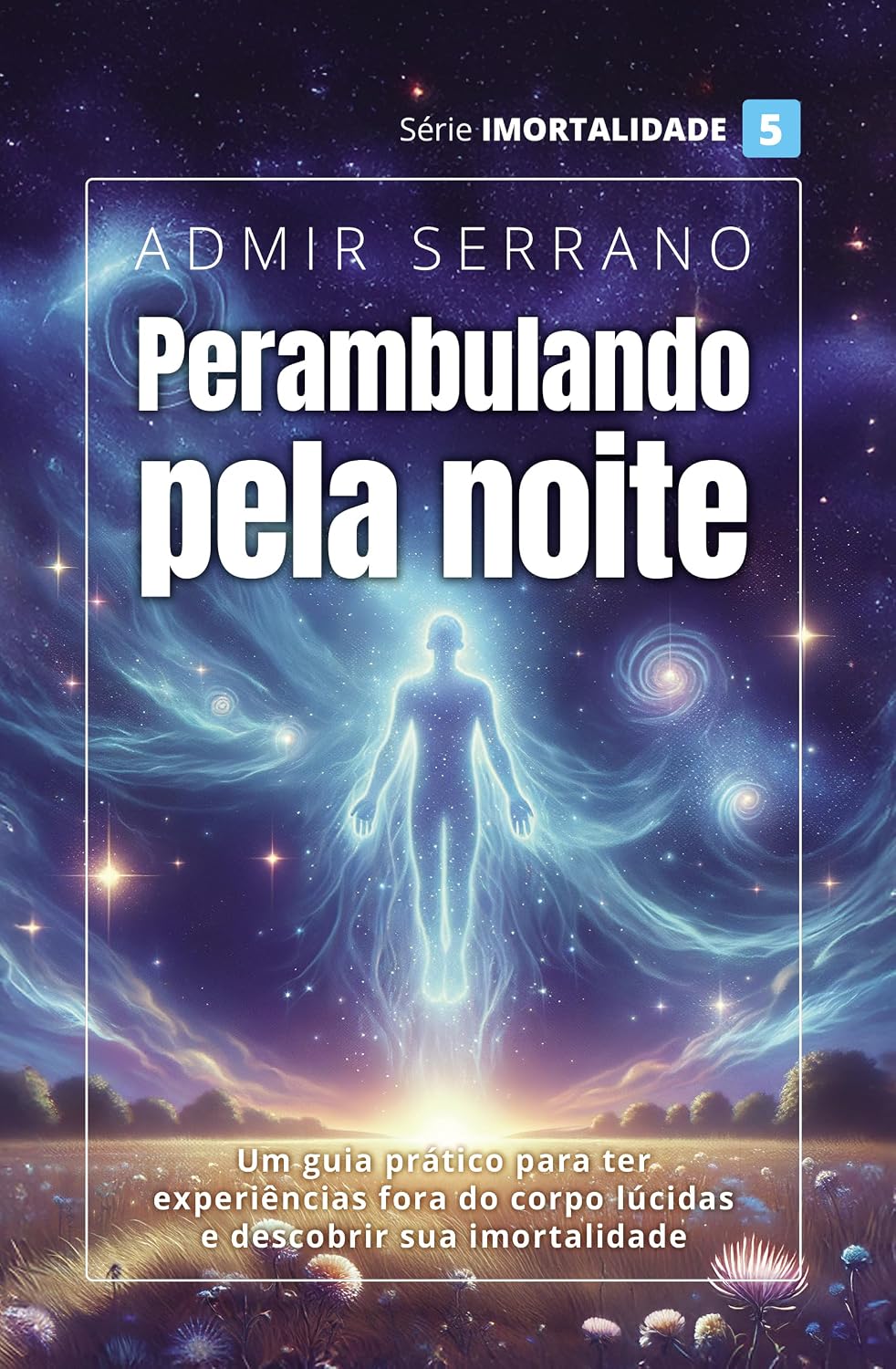Perambulando Pela Noite baixar livro de graça