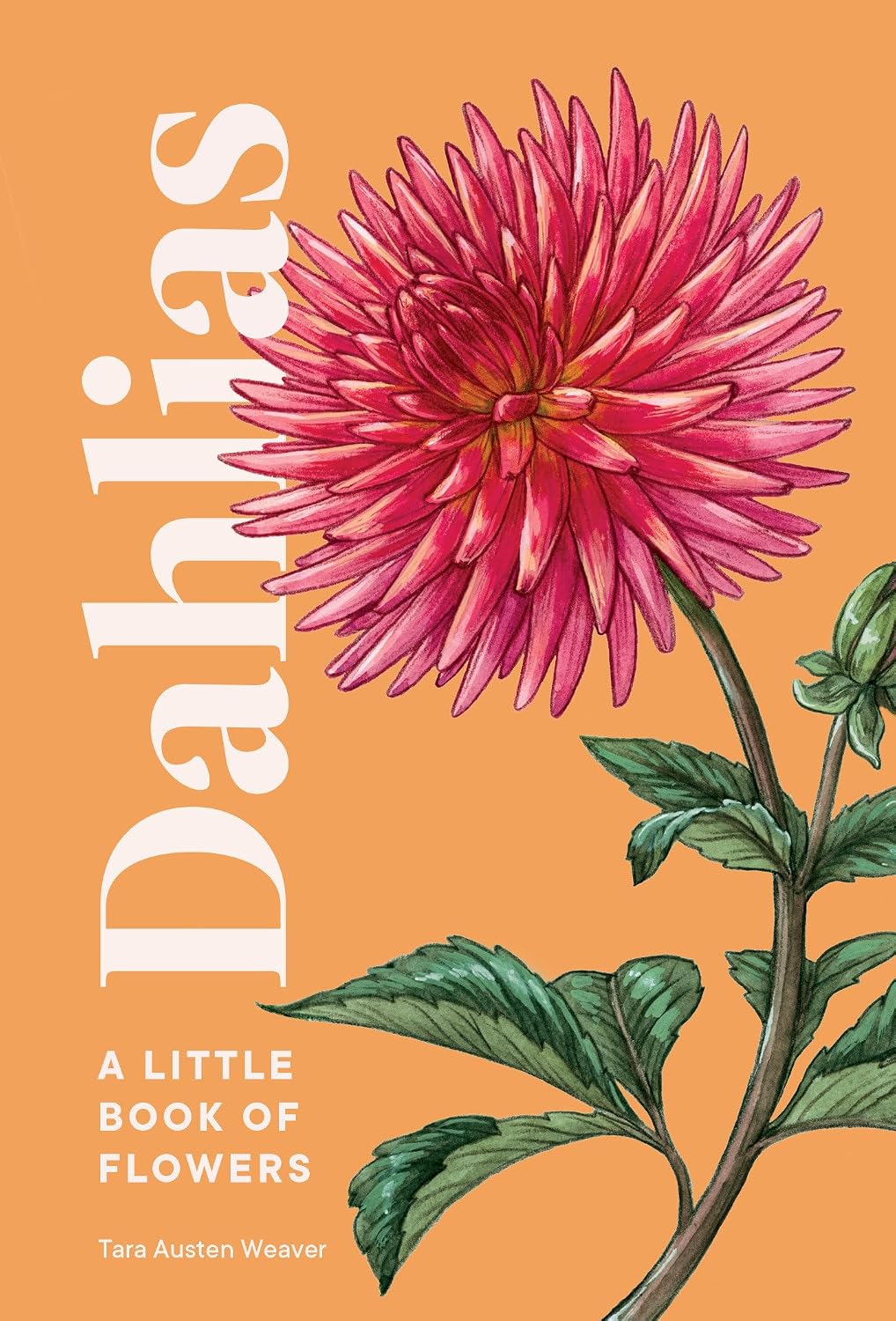 ler totalmente Dahlias: A Little Book of Flowers