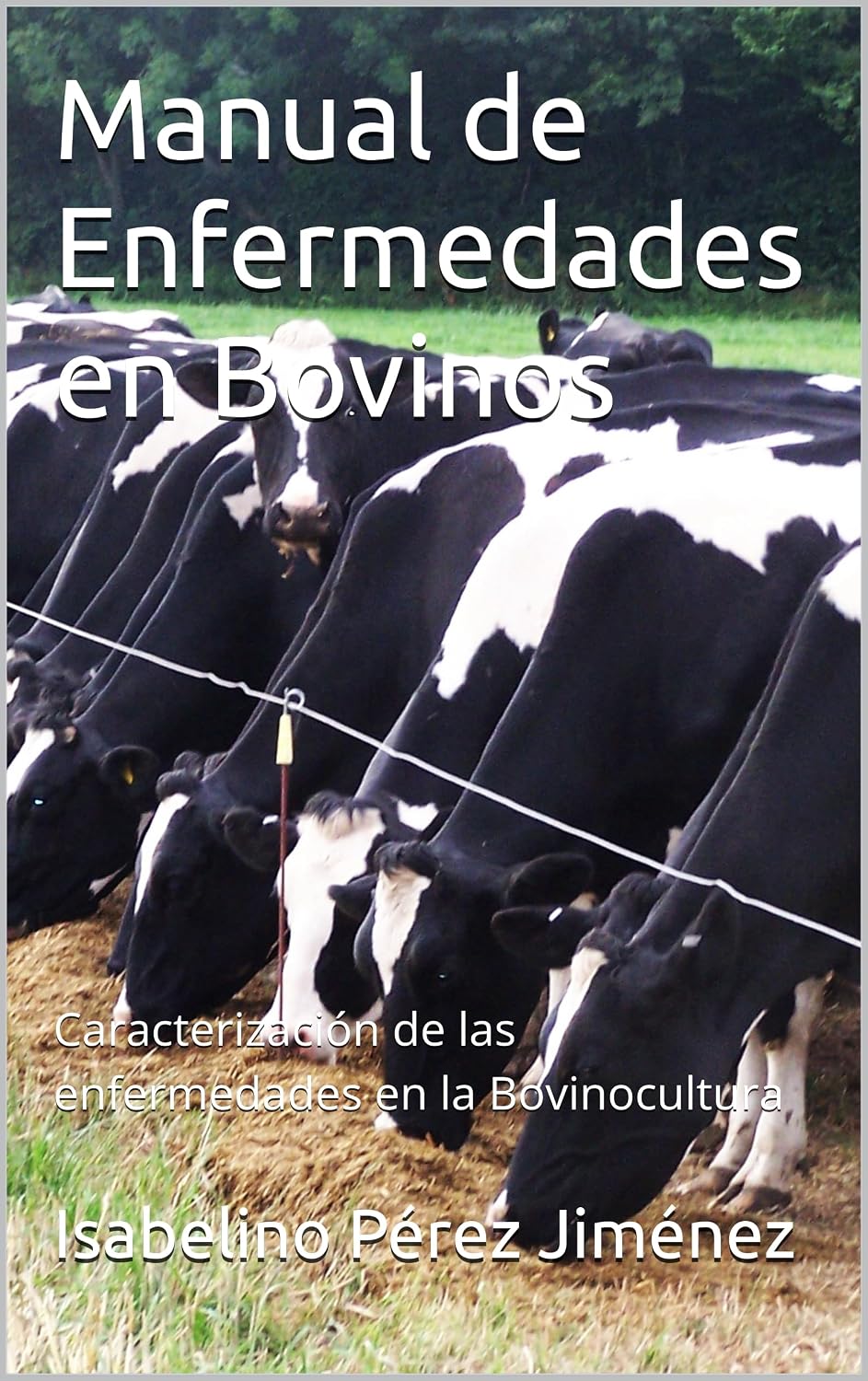 capítulo por capítulo baixar Manual de Enfermedades en Bovinos: Caracterización de las enfermedades en la Bovinocultura (Spanish Edition)
