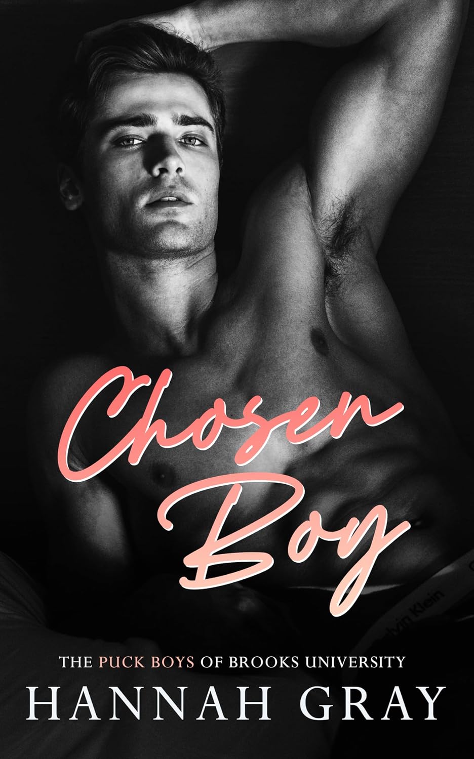 Chosen Boy (The Puck Boys of Brooks University Book 4) (English Edition) baixar livro de graça