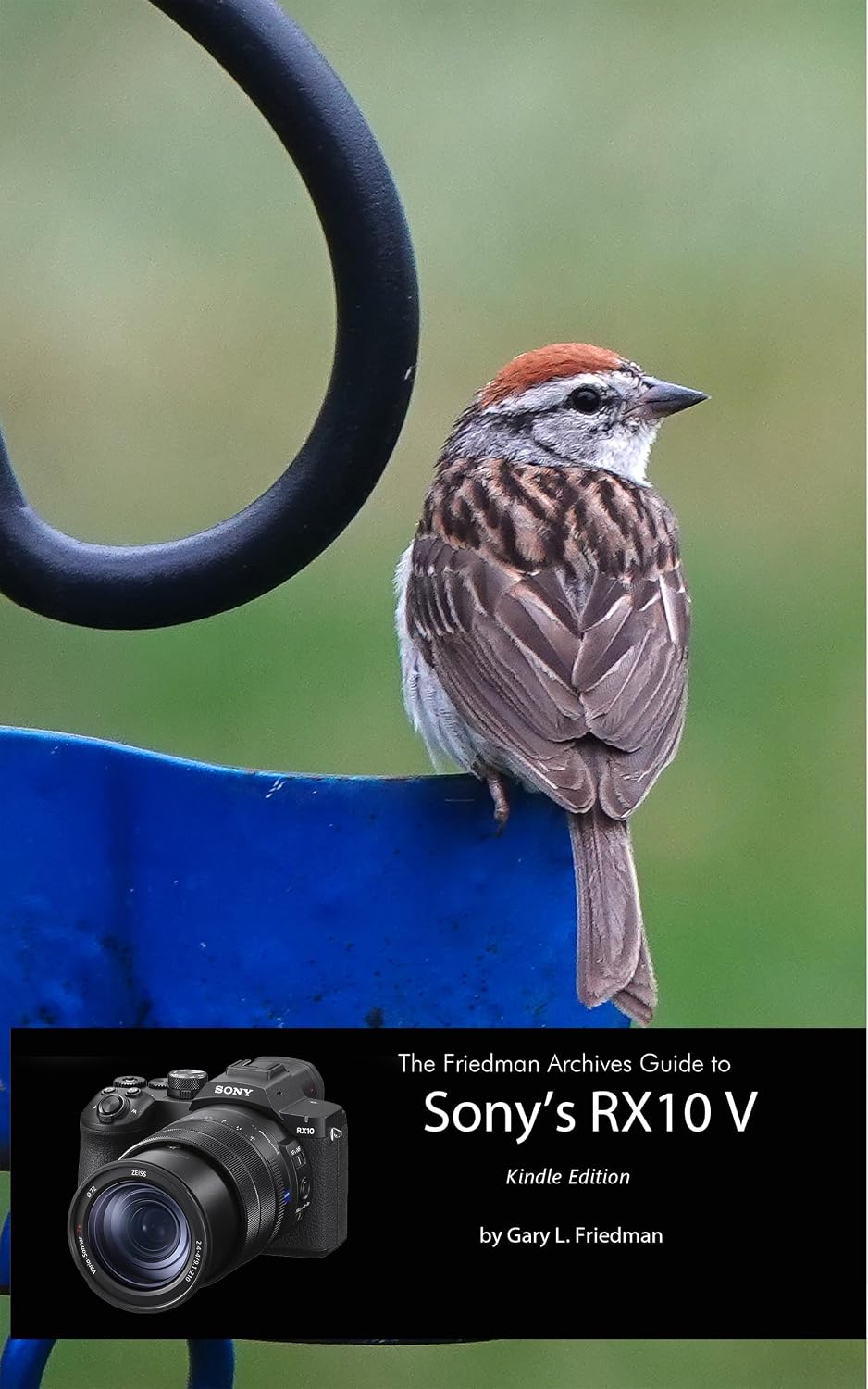 The Friedman Archives Guide to Sony's RX10 V: Kindle edition (English Edition) baixar o livro de graça