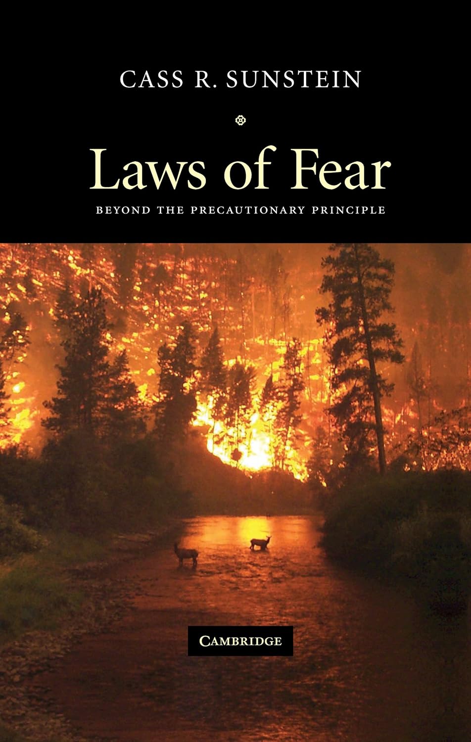 ler totalmente Laws of Fear: Beyond the Precautionary Principle (The Seeley Lectures Book 6) (English Edition)