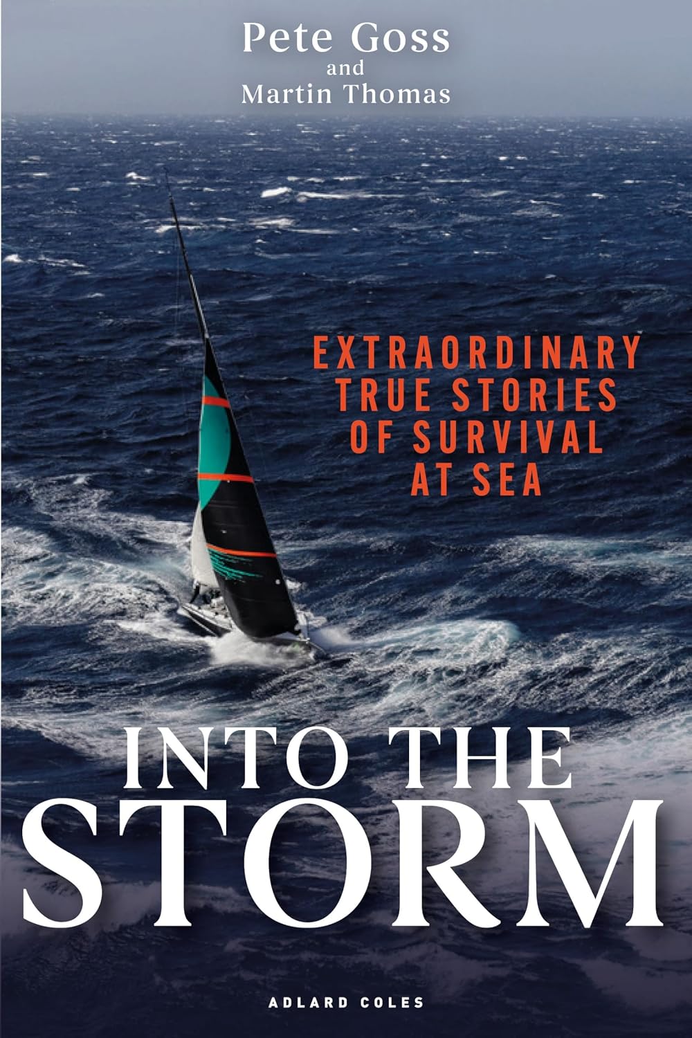 capítulo por capítulo baixar Into the Storm: Extraordinary true stories of survival at sea (English Edition)