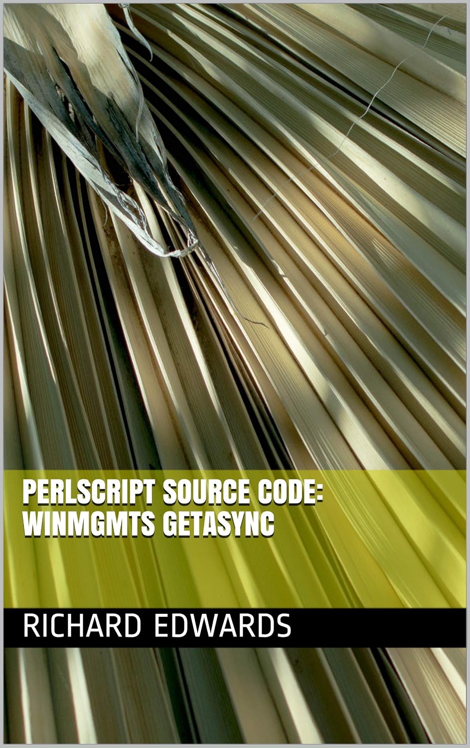 ler totalmente PerlScript Source Code: Winmgmts GetAsync (English Edition)