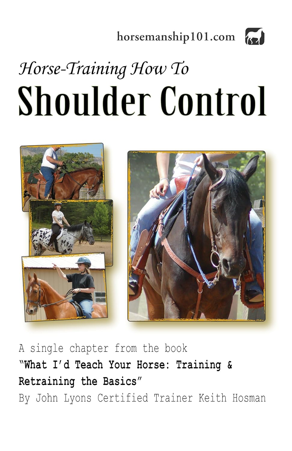Shoulder Control (What I'd Teach Your Horse Book 4) (English Edition) baixar o livro de graça