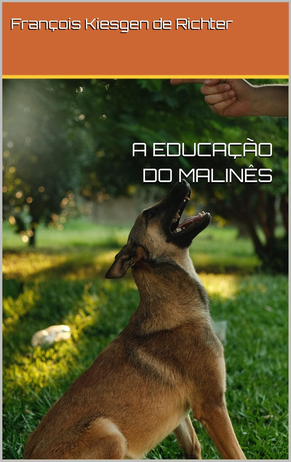 ler totalmente A EDUCAÇÃO DO MALINÊS (Chiens du monde Livro 178)