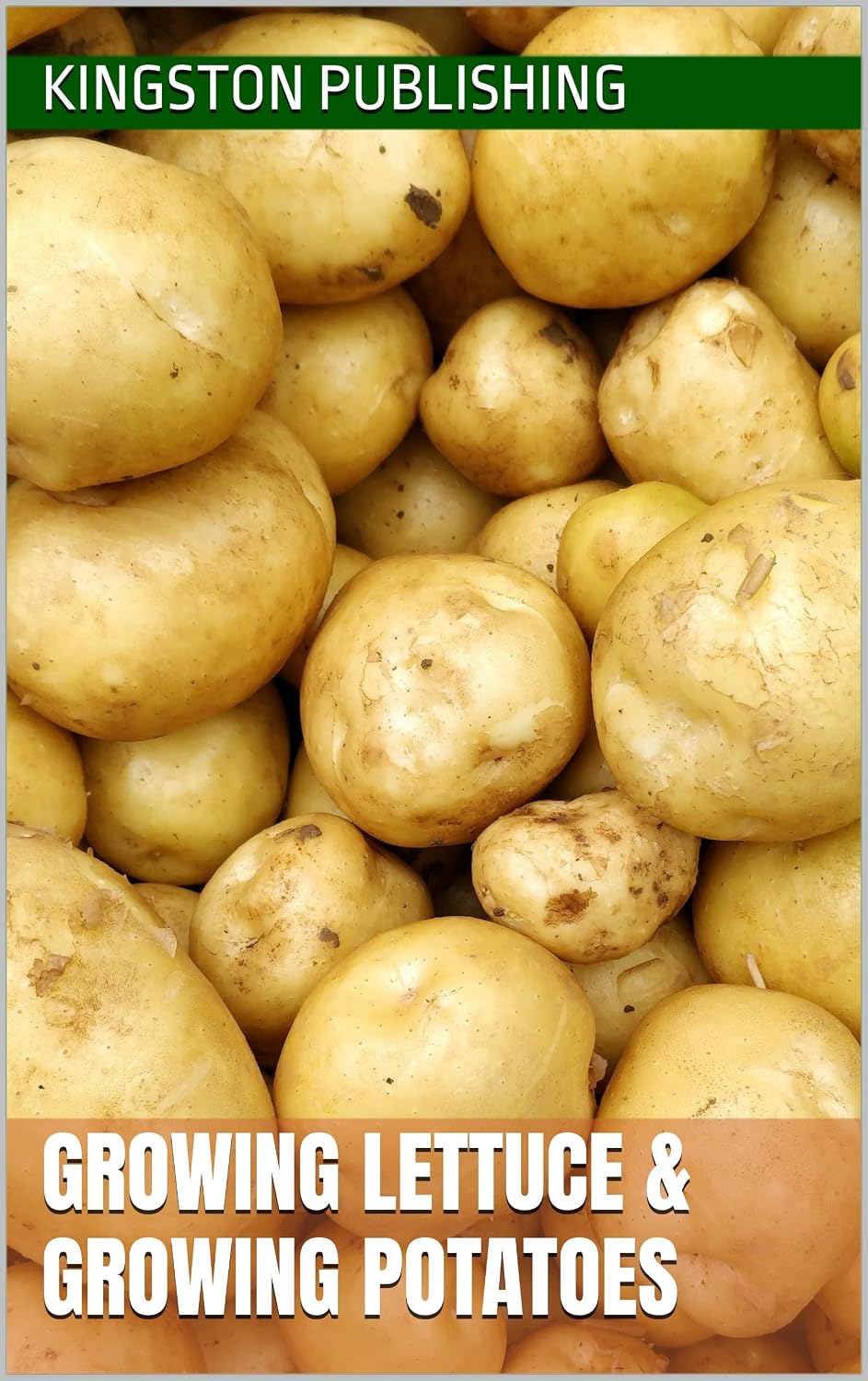 Growing Lettuce & Potatoes (Homegrown Ingredients) (English Edition) baixar o livro de graça