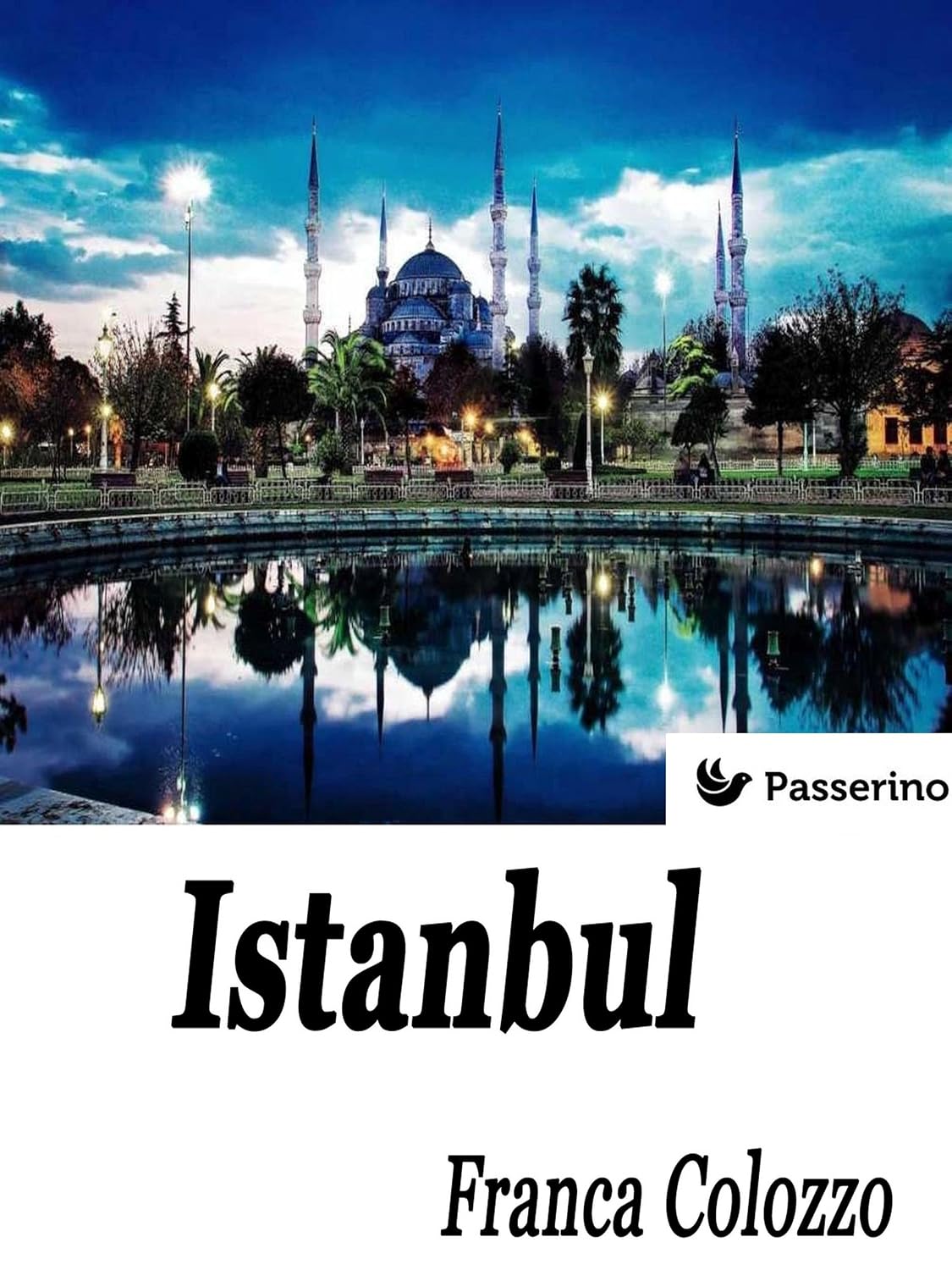 Istanbul: Città sospesa tra sogno e realtà (Italian Edition) baixar o livro de graça