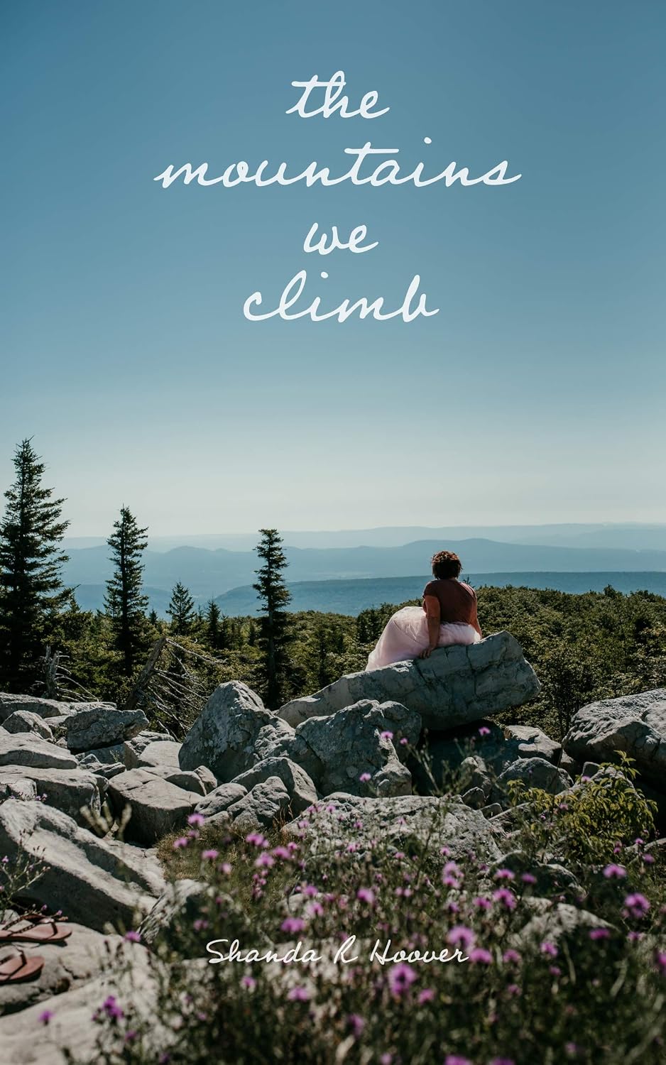 ler totalmente the mountains we climb (English Edition)