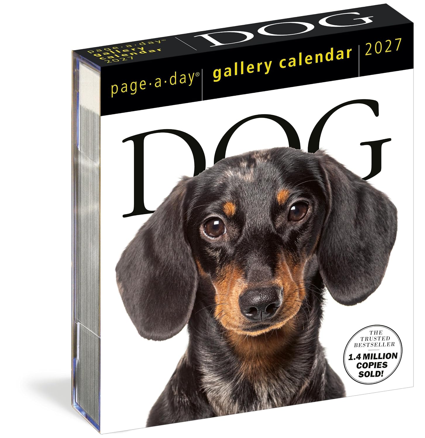 ler totalmente Dog Page-A-Day(r) Gallery Calendar 2027: An Elegant Canine Celebration