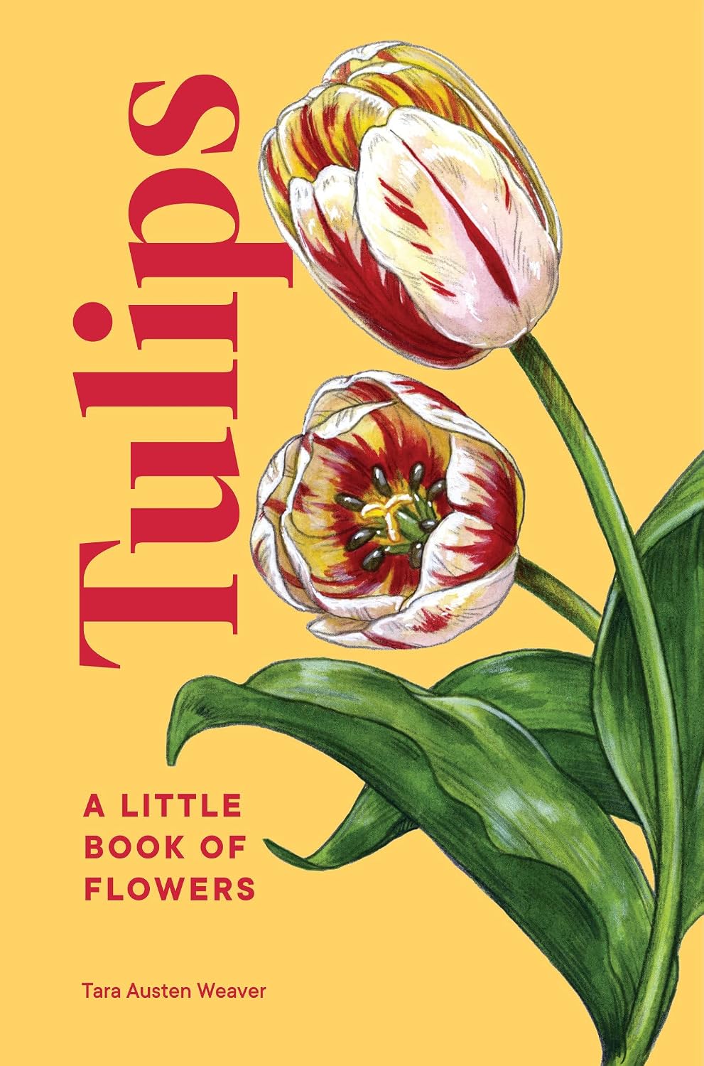 Tulips: A Little Book of Flowers baixar o livro de graça