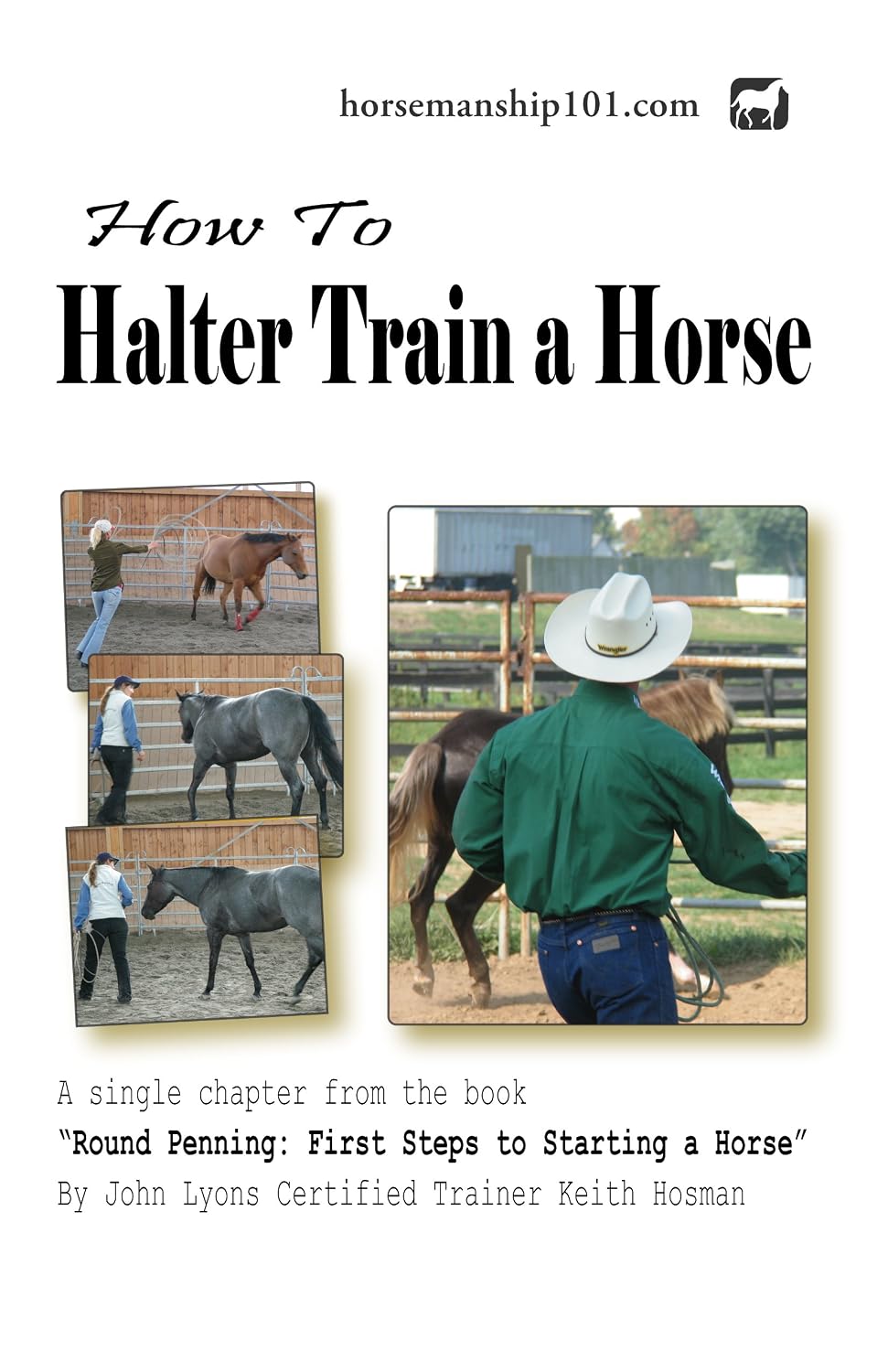 ler totalmente How to Halter Train a Horse (Round Penning Book 6) (English Edition)