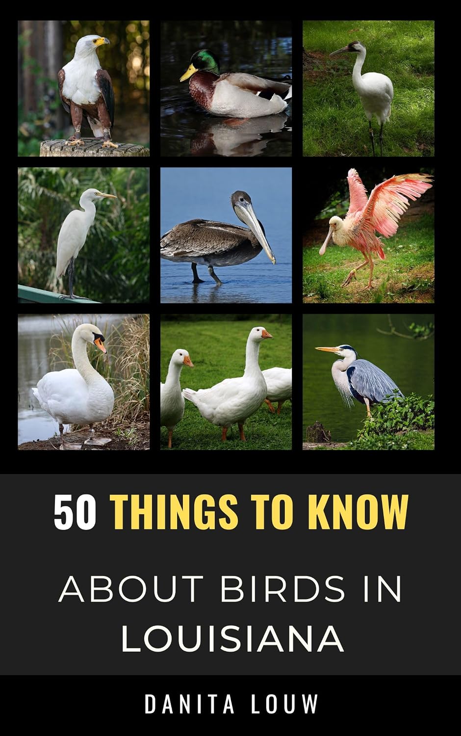 capítulo por capítulo baixar 50 Things to Know About Birds in Louisiana: Birdwatching Guide, Bird Identification, Local Species, Nature Facts, Backyard Birds, & Wildlife (50 Things... and regional bird books) (English Edition)