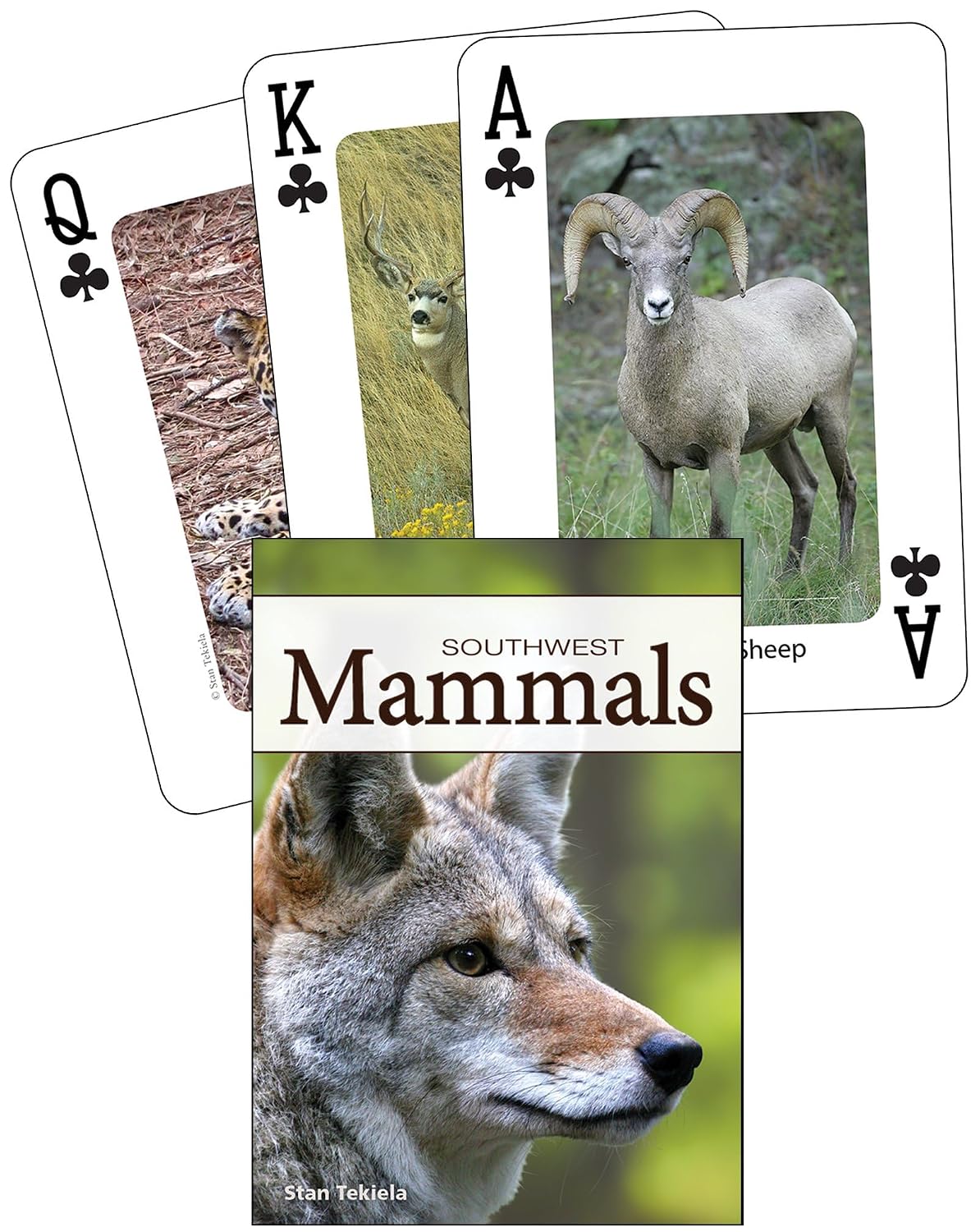 Mammals of the Southwest Playing Cards baixar livro de graça