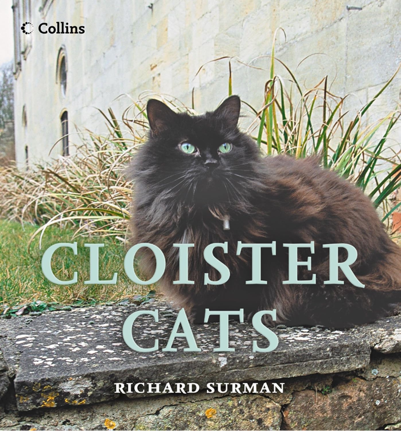 ler totalmente Cloister Cats: A Non-Fiction Treat for Cat Lovers and Fans of British Monastic History (English Edition)