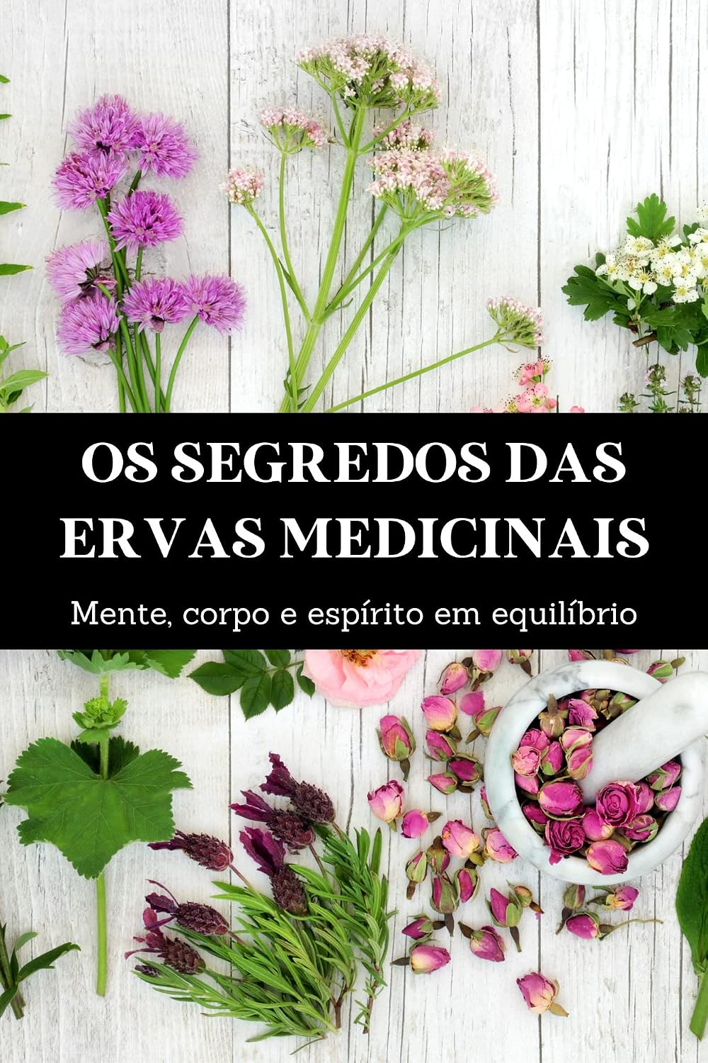 O segredo das ervas medicinais: Mente, corpo e espírito em equilíbrio baixar o livro de graça