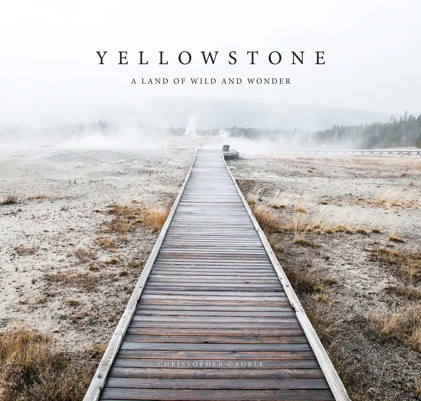 Yellowstone: A Land of Wild and Wonder baixar o livro de graça