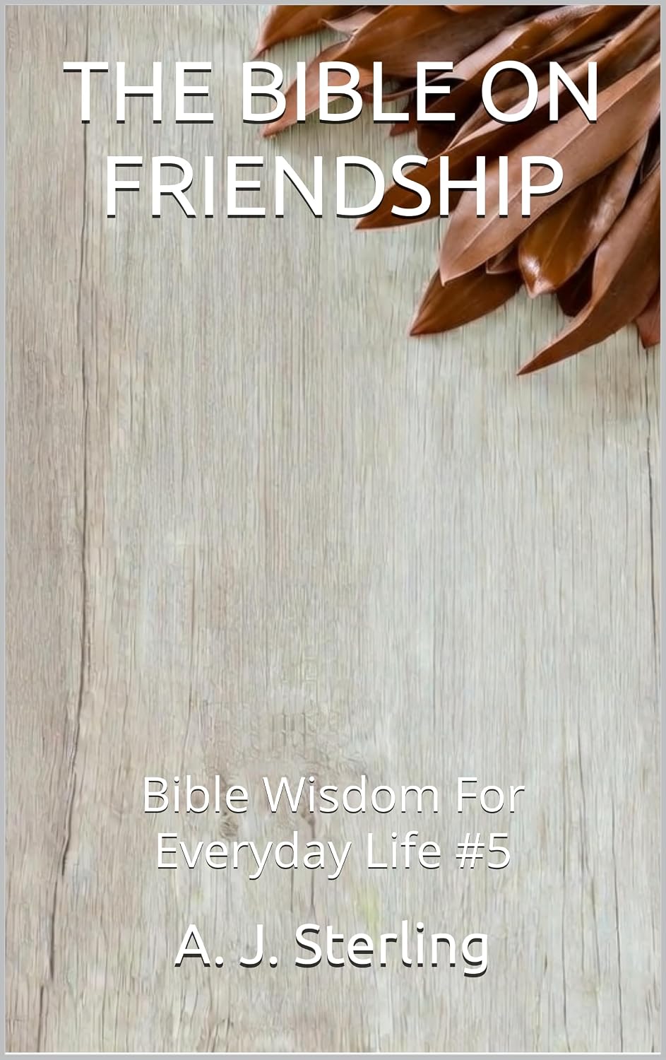 ler totalmente THE BIBLE ON FRIENDSHIP: Bible Wisdom For Everyday Life #5 (English Edition)
