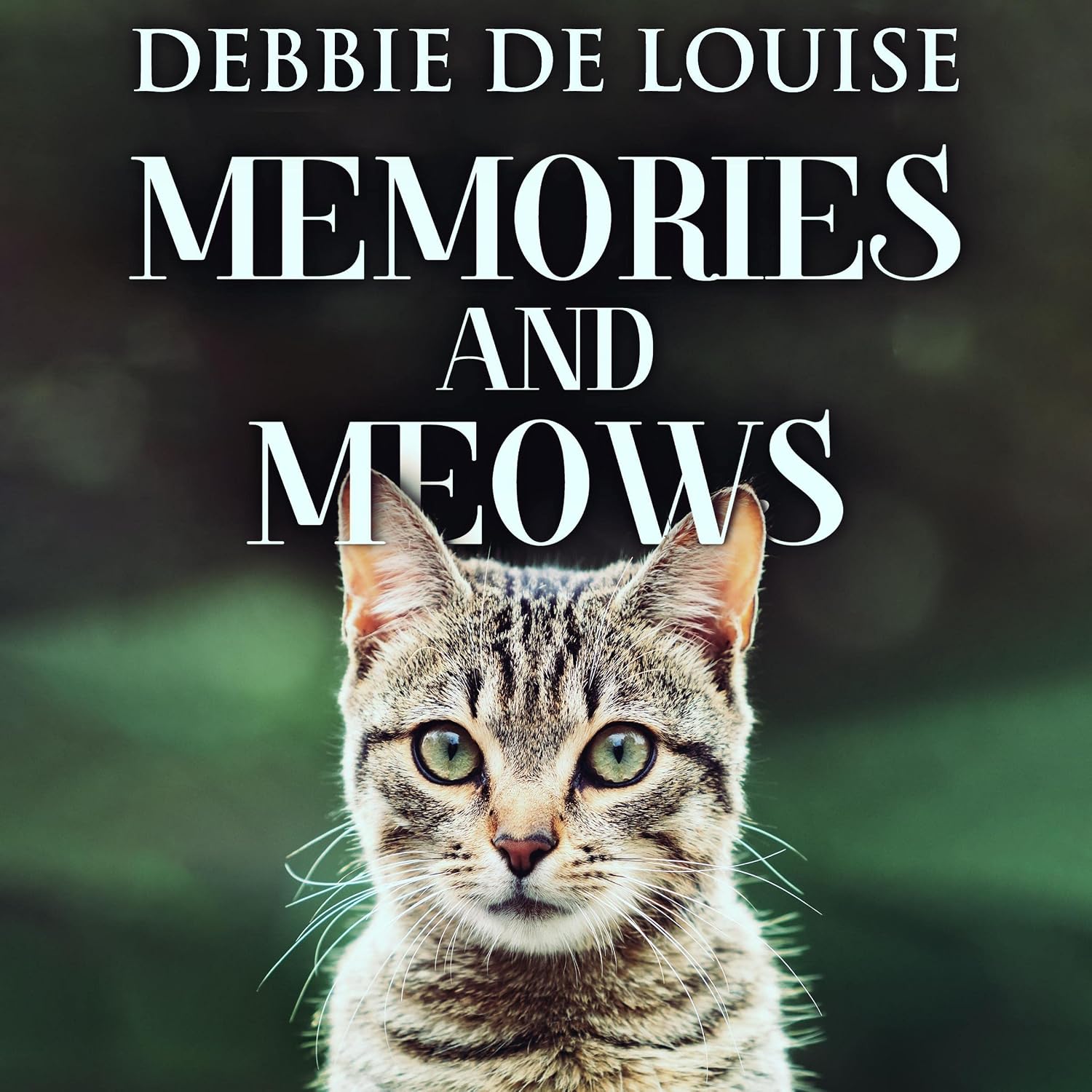 Memories and Meows baixar o livro de graça