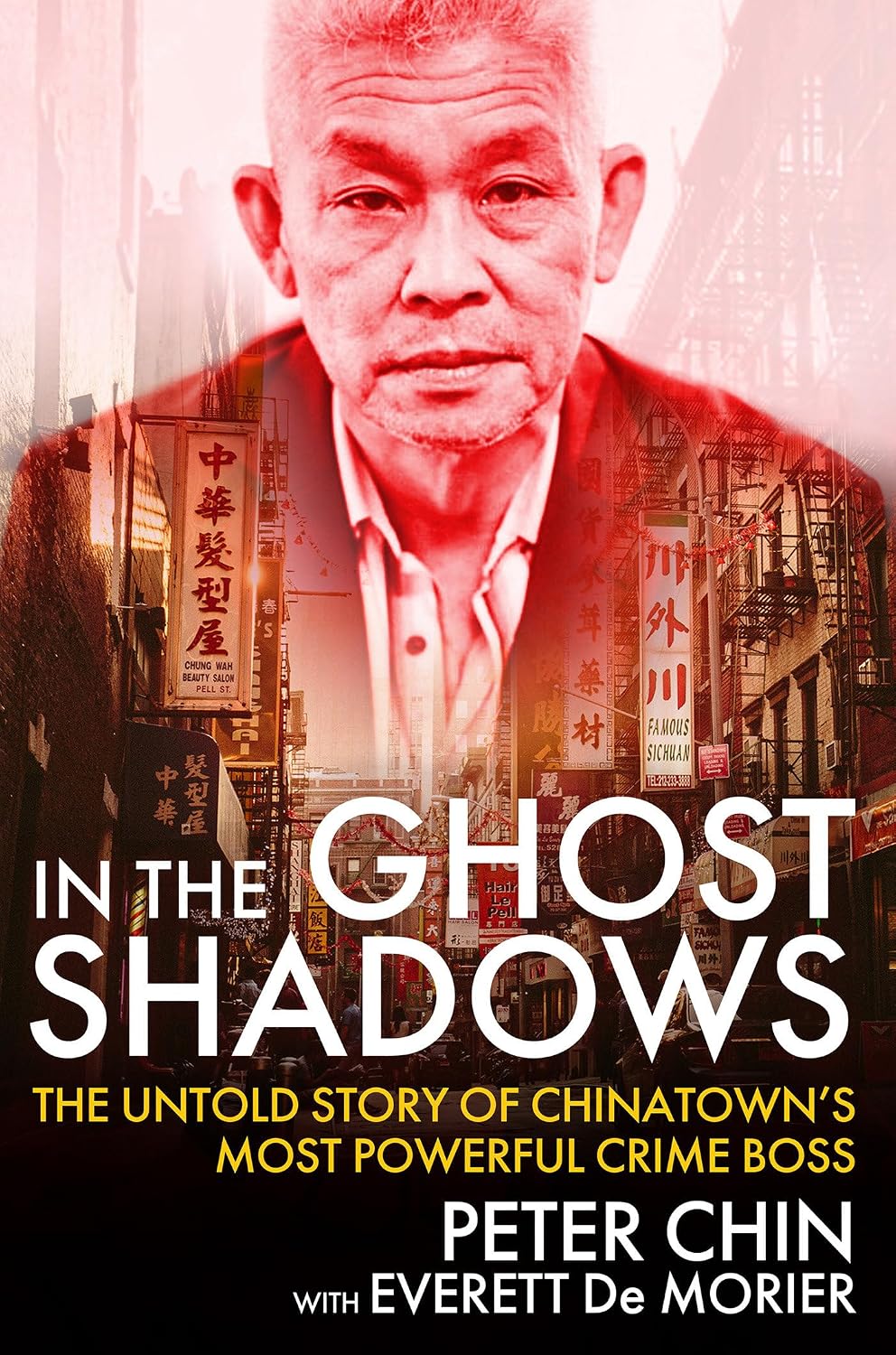 In the Ghost Shadows: The Untold Story of Chinatown's Most Powerful Crime Boss baixar o livro de graça