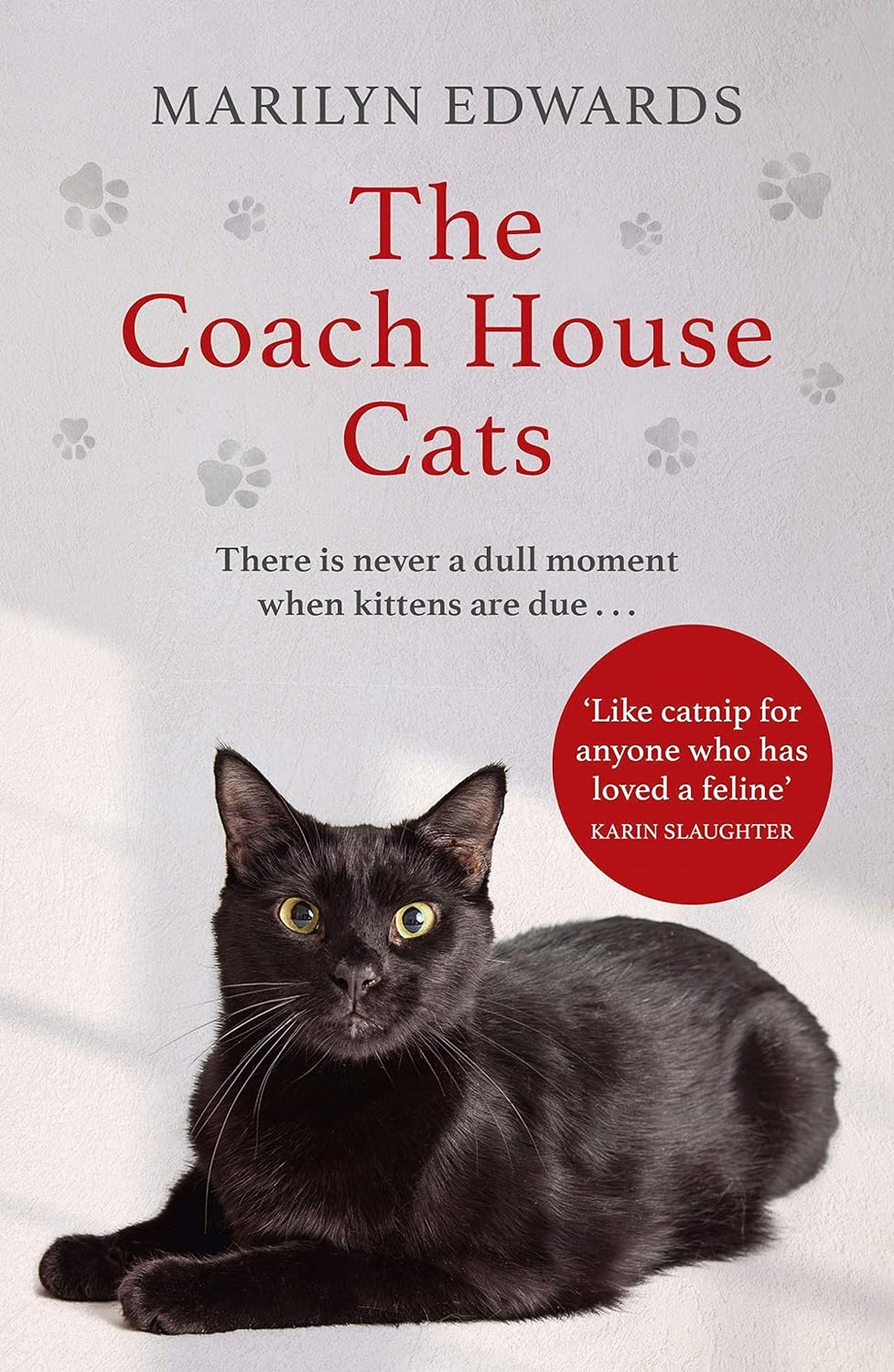 ler totalmente The Coach House Cats (Cats of Moon Cottage 4) (English Edition)