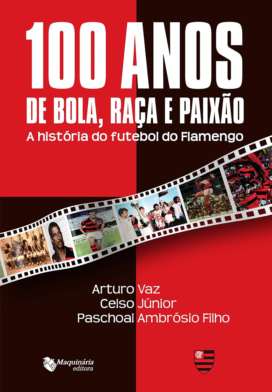 100 Anos de Bola, Raça e Paixão: A História do Futebol do Flamengo baixar livro de graça