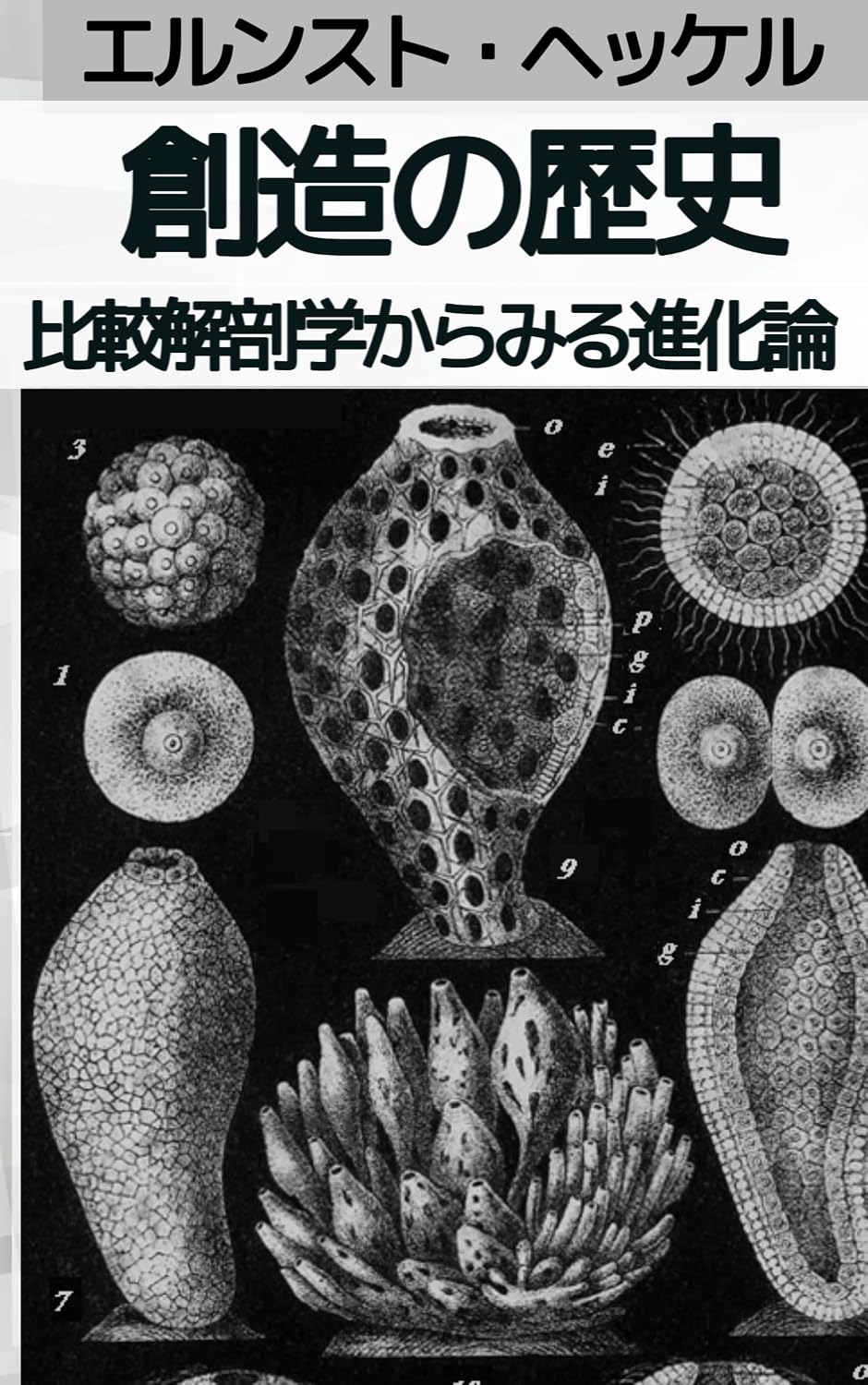 souzounorekisiseibutusinnka: hikaksisufagaagjakasironn (Japanese Edition) baixar o livro de graça