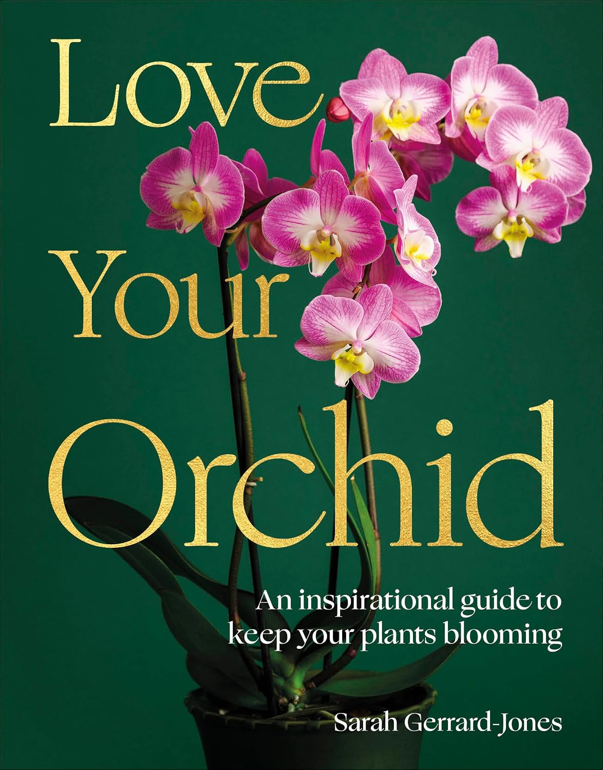 Love Your Orchid: An Inspirational Guide to Keep your Plants Blooming (English Edition) baixar o livro de graça