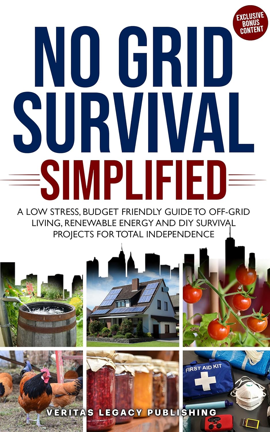 No Grid Survival Simplified: A Low Stress, Budget Friendly Guide to Off-Grid Living, Renewable Energy and DIY Survival Projects for Total Independence (English Edition) baixar livro de graça