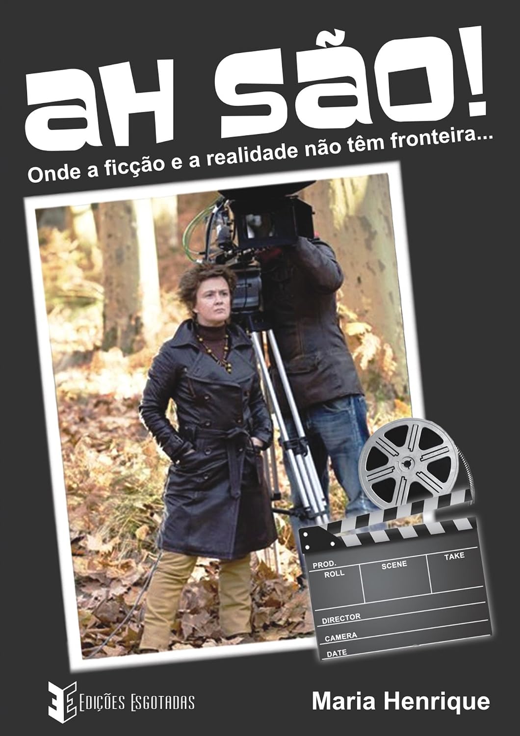 Ah São baixar o livro de graça