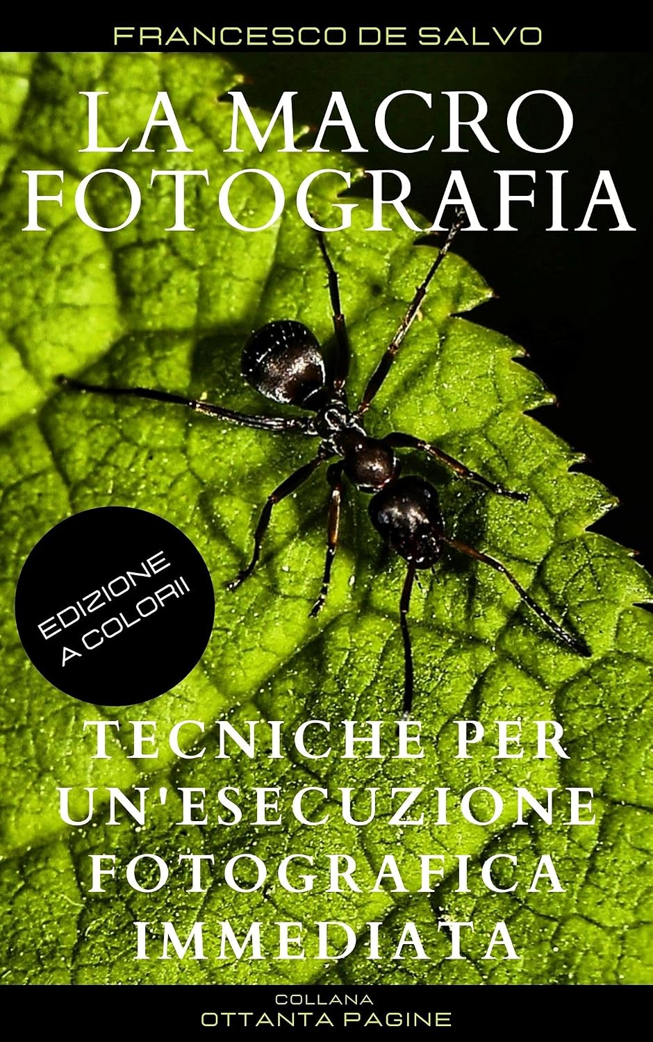 capítulo por capítulo baixar LA MACROFOTOGRAFIA: Tecniche per un'esecuzione fotografica immediata (80 pagine Vol. 3) (Italian Edition)