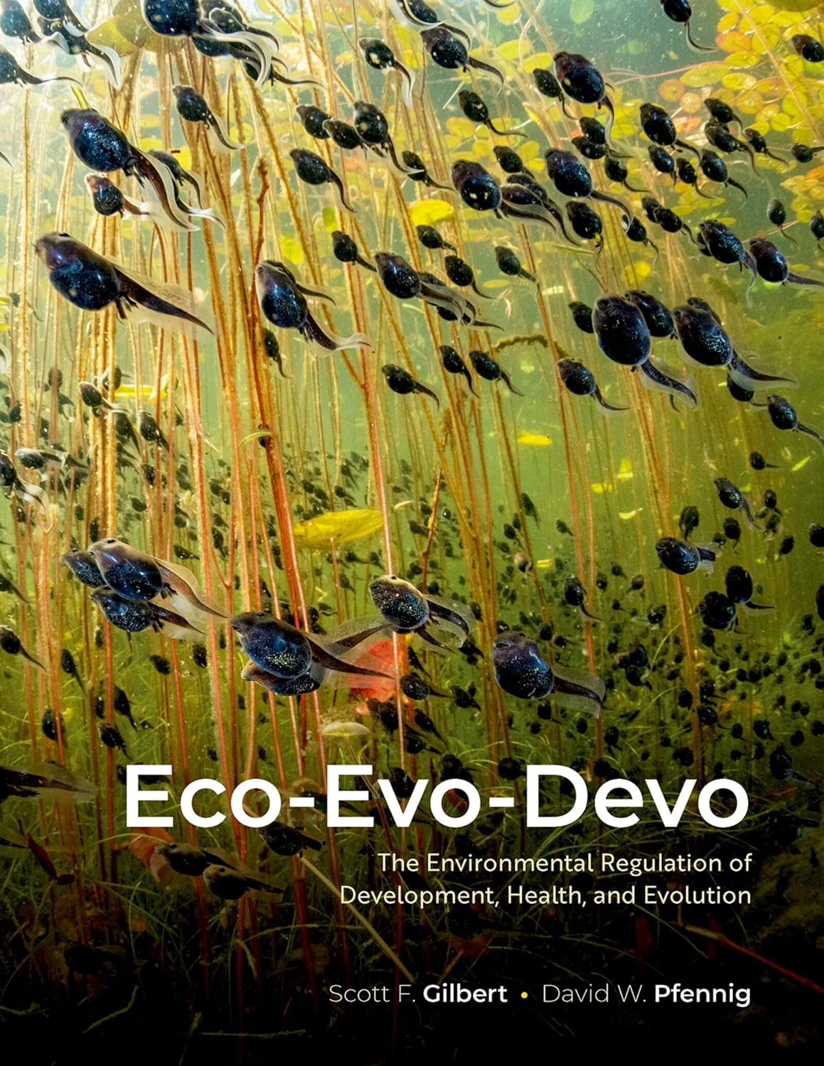 capítulo por capítulo baixar Eco-Evo-Devo: The Environmental Regulation of Development, Health, and Evolution