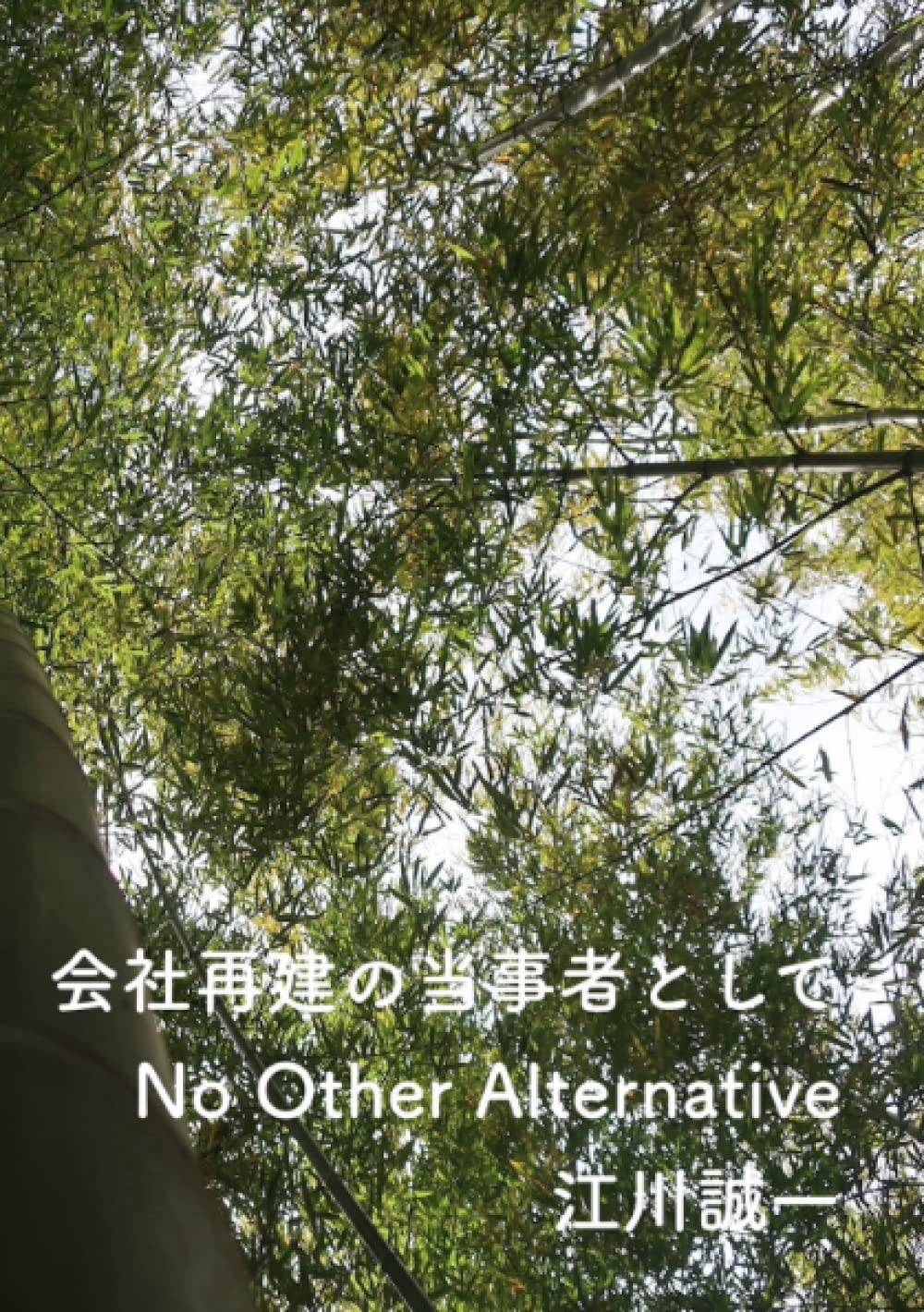 会社再建の当事者として: No Other Alternative. (Japanese Edition) baixar livro de graça