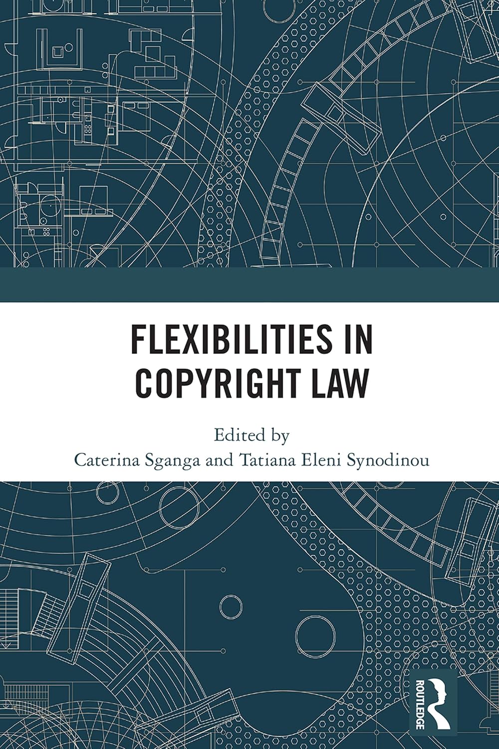 ler totalmente Flexibilities in Copyright Law (English Edition)