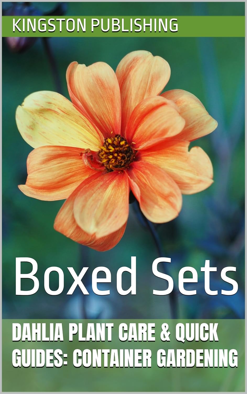 Dramatic Dahlia Plant Care & Quick Guides: Container Gardening: Boxed Sets (Home Gardens) (English Edition) baixar o livro de graça