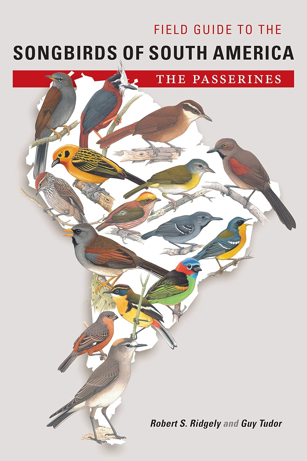 capítulo por capítulo baixar Field Guide to the Songbirds of South America: The Passerines