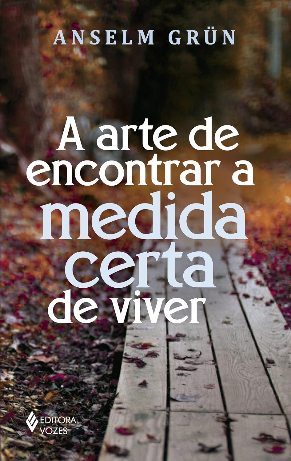A arte de encontrar a medida certa de viver baixar o livro de graça