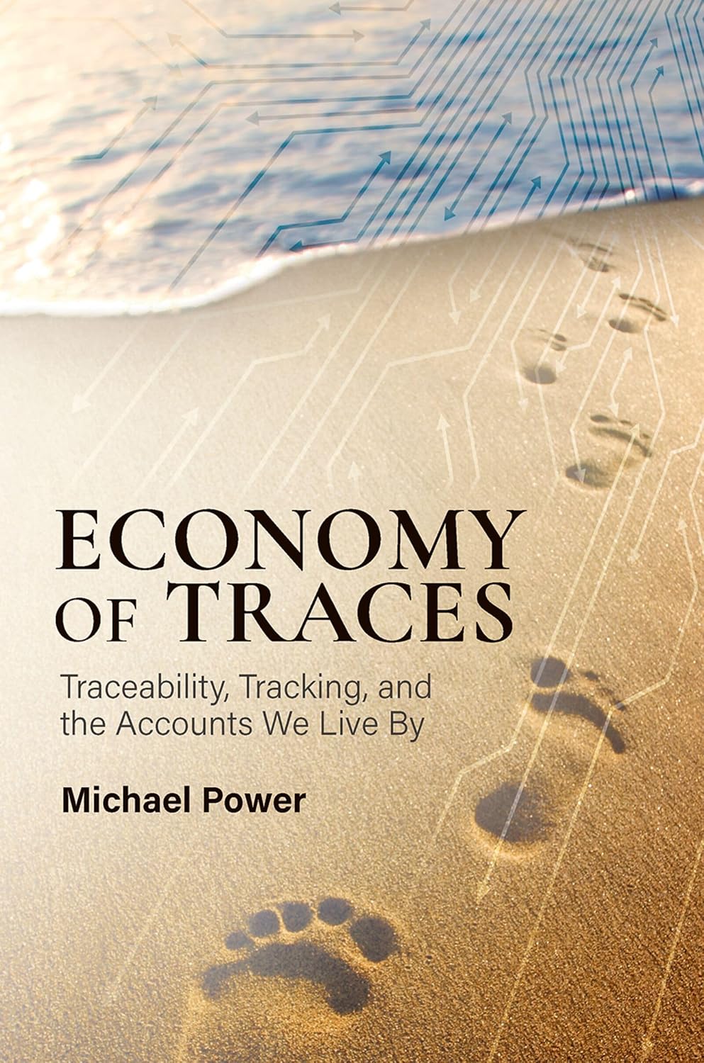 Economy of Traces: Traceability, Tracking, and the Accounts We Live By (English Edition) baixar o livro de graça